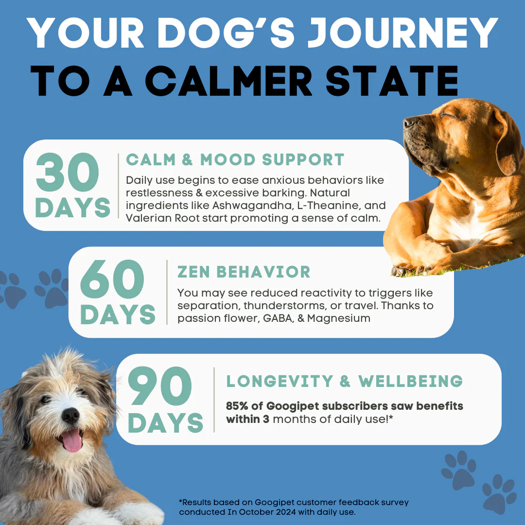 Hemp Calming Chews for Dogs - Image 3