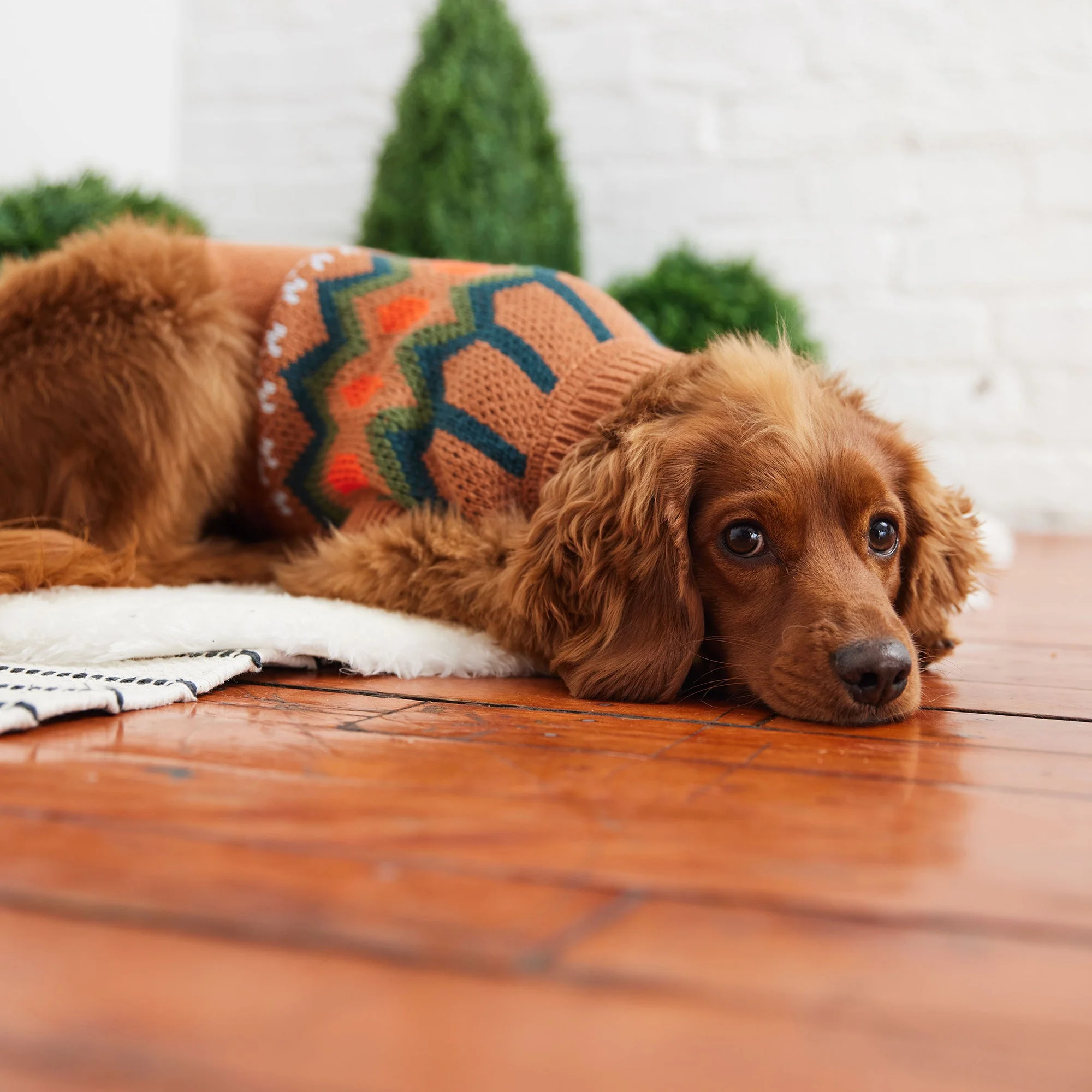 Heritage Sweater - Hazel - Image 4