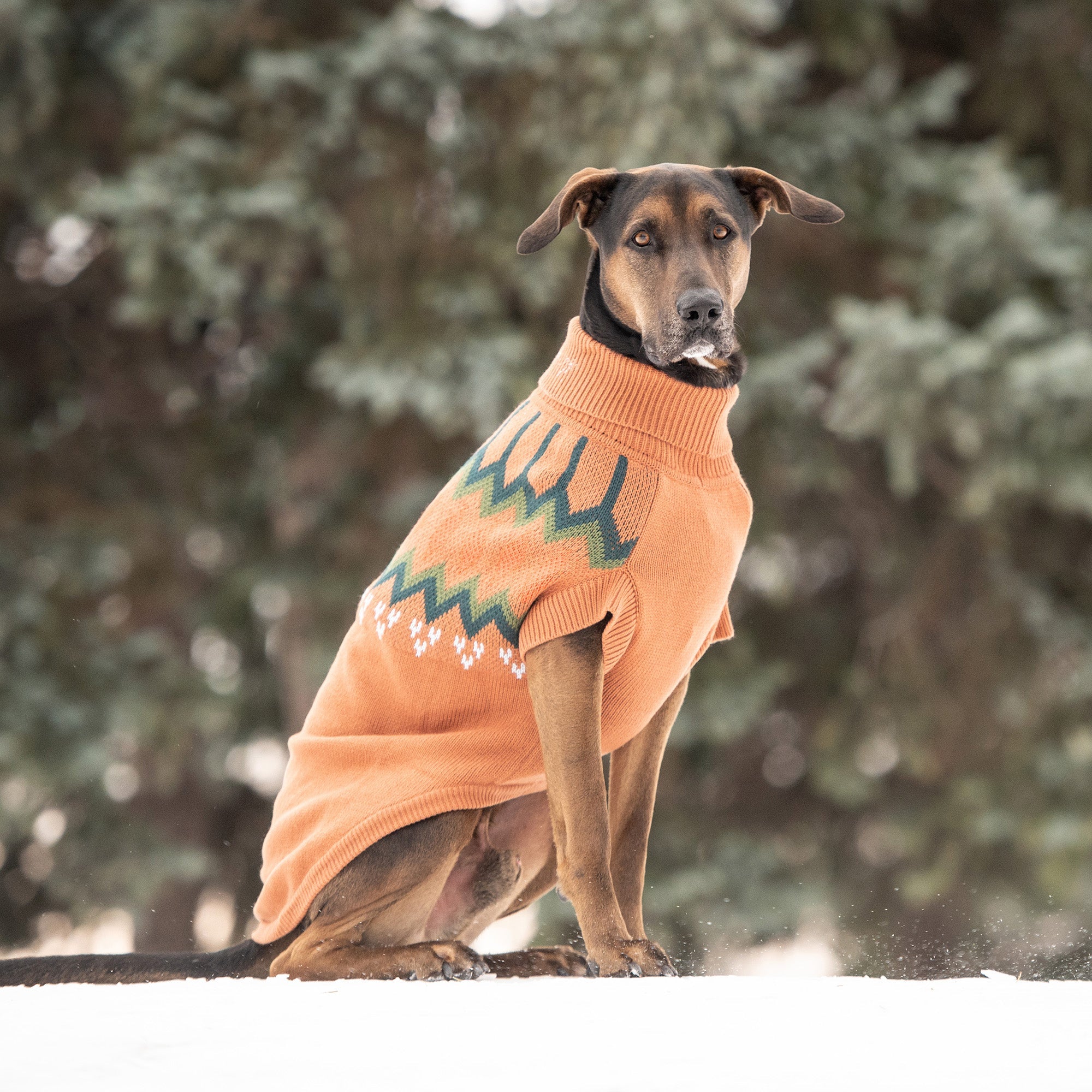 Heritage Sweater - Hazel - Image 5