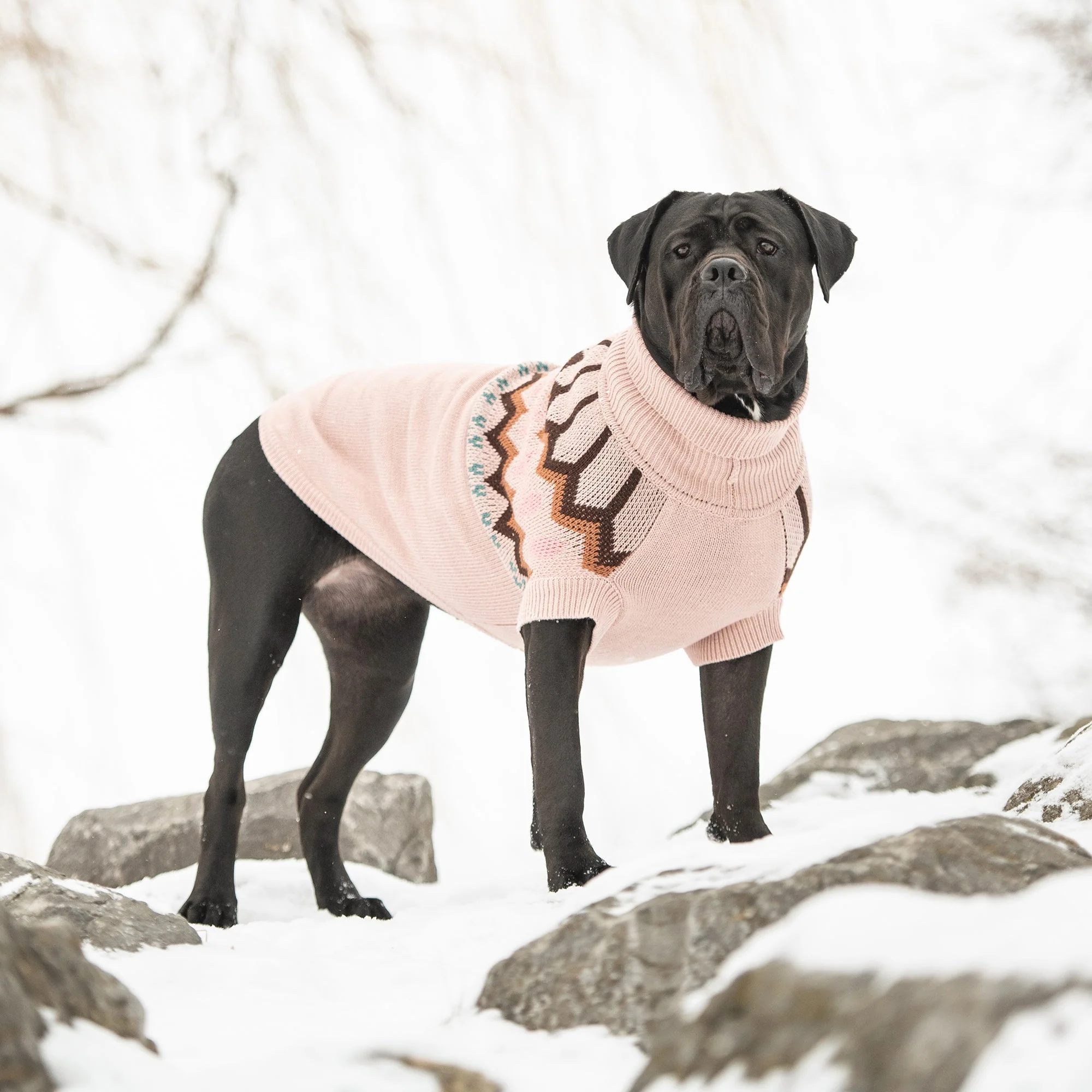 Heritage Sweater - Pink - Image 5