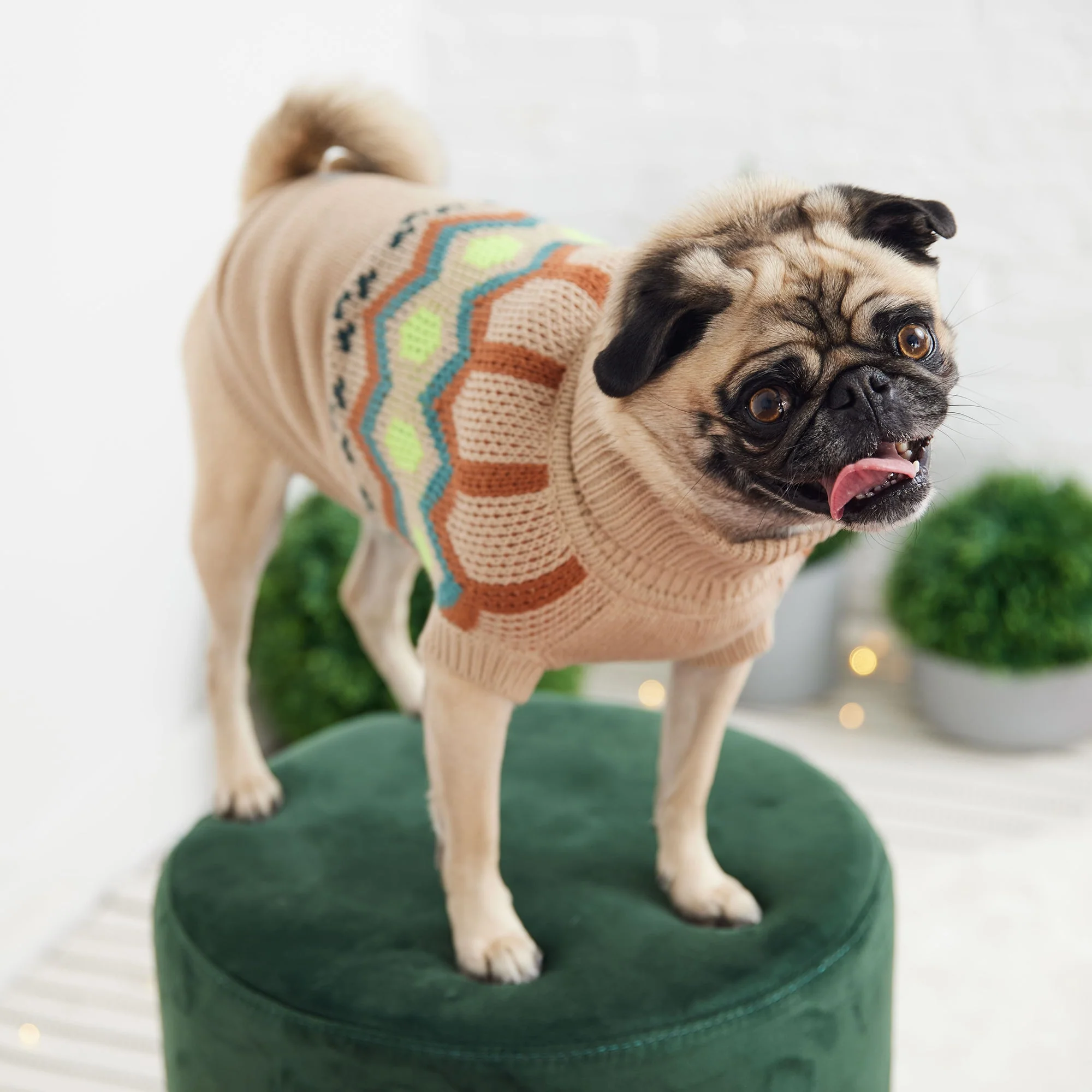 Heritage Sweater - Sand - Image 4