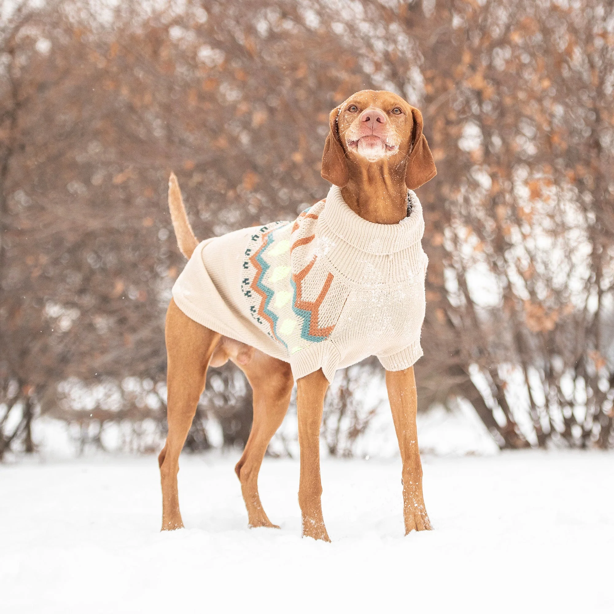 Heritage Sweater - Sand - Image 5