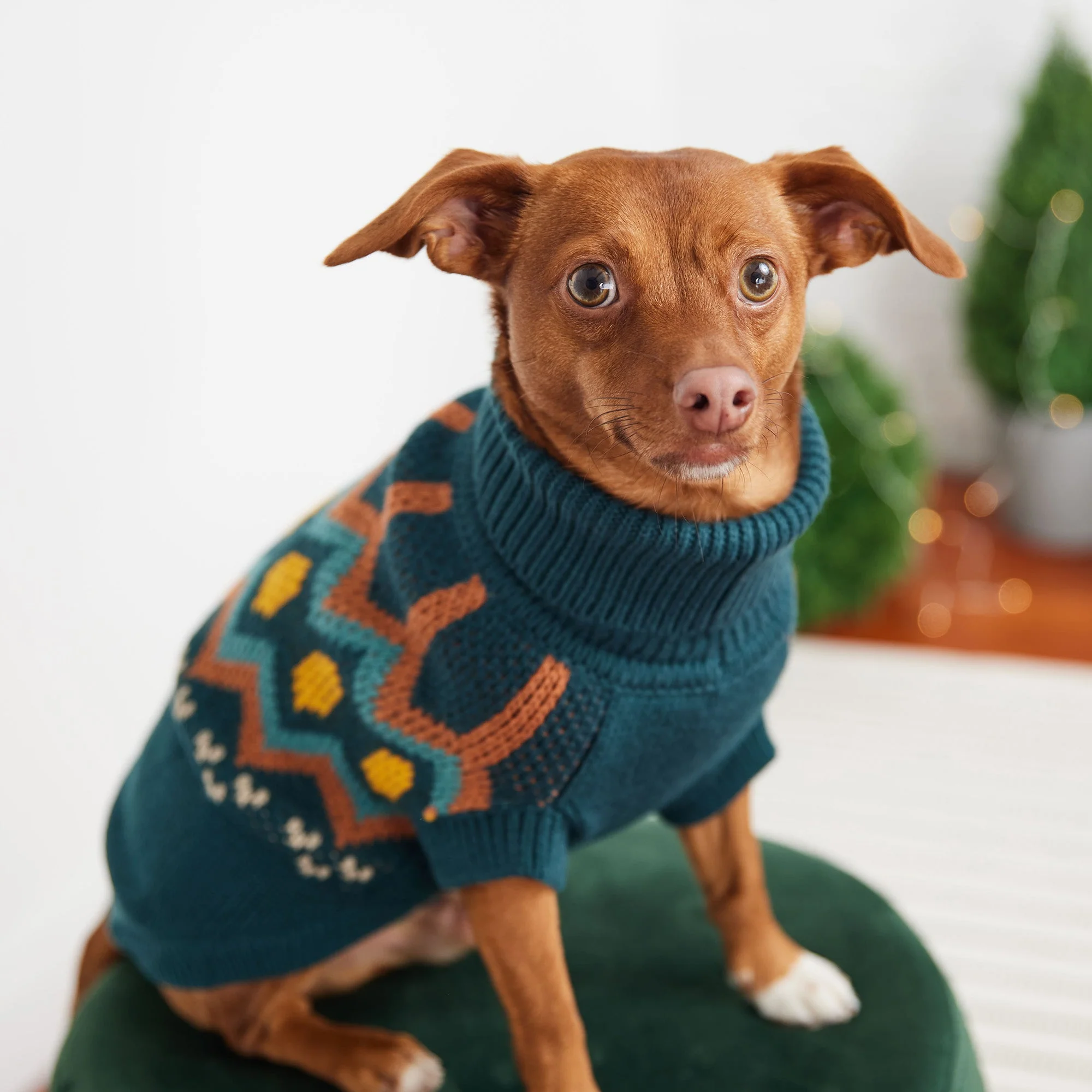 Heritage Sweater - Teal - Image 4
