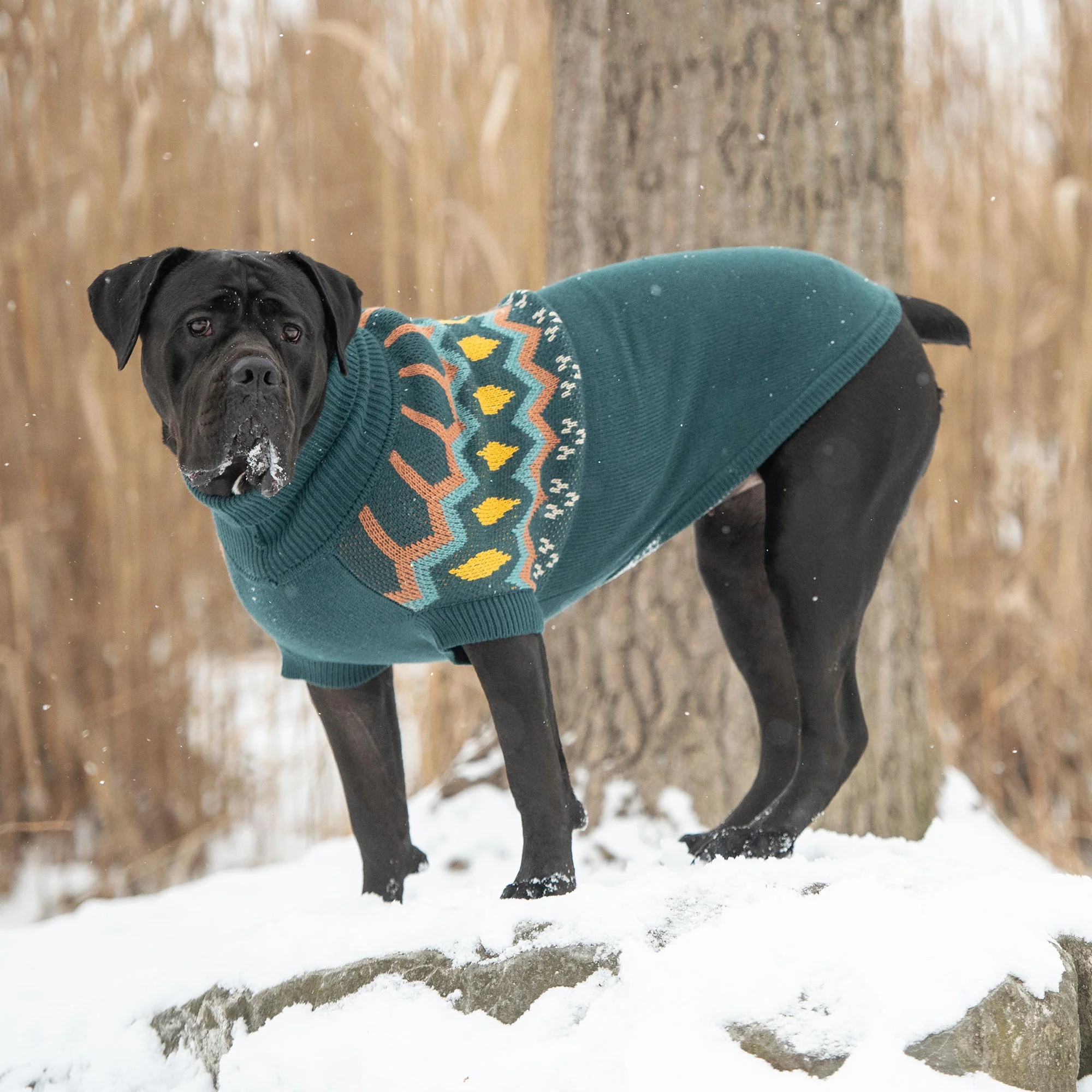 Heritage Sweater - Teal - Image 5