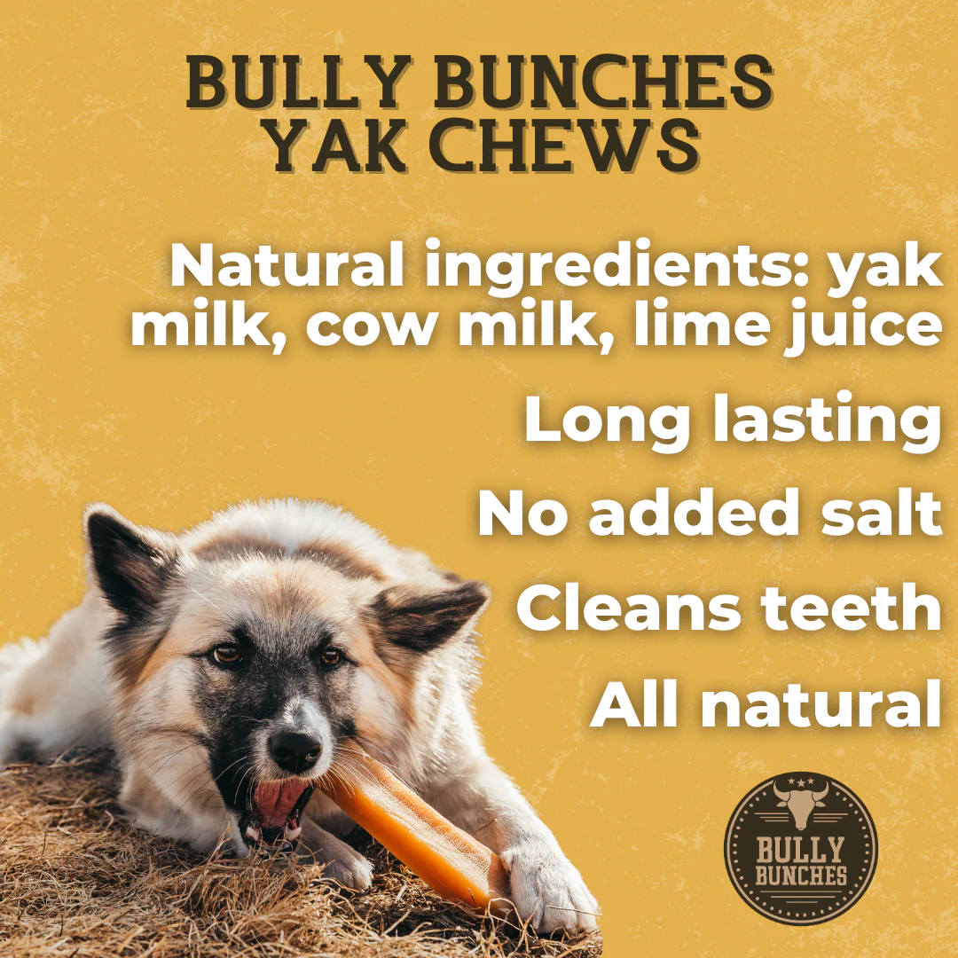 Himalayan Yak Chew (LARGE) - Image 6