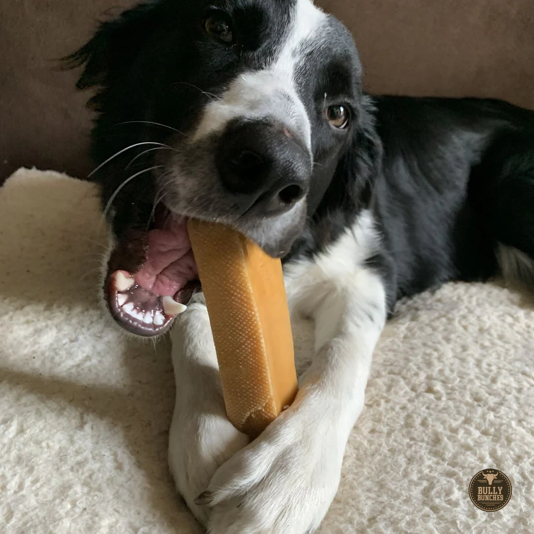 Himalayan Yak Chew (MEGA) - Image 3