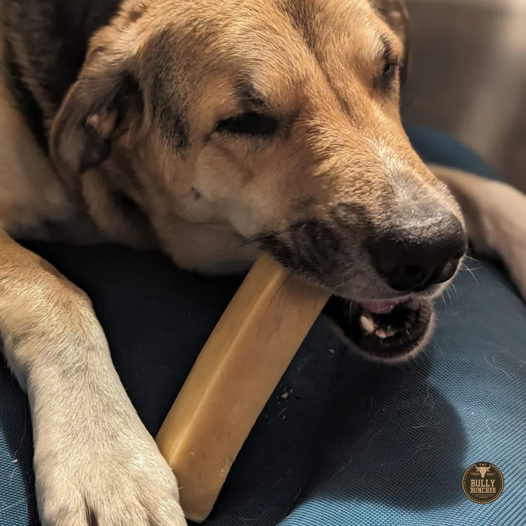 Himalayan Yak Chew (MEGA) - Image 7
