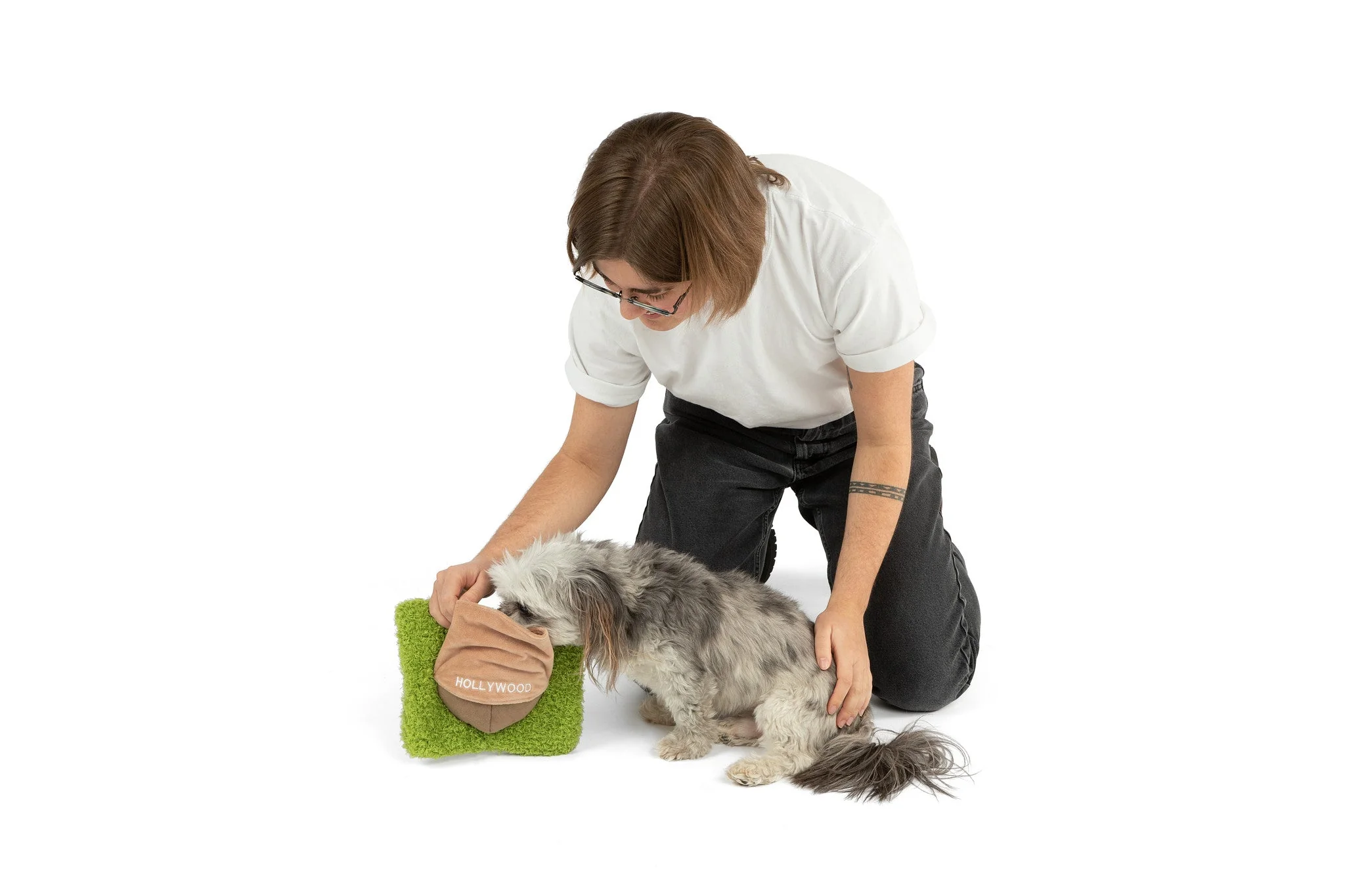 Hollywoof Nose Work Dog Toy - Image 2
