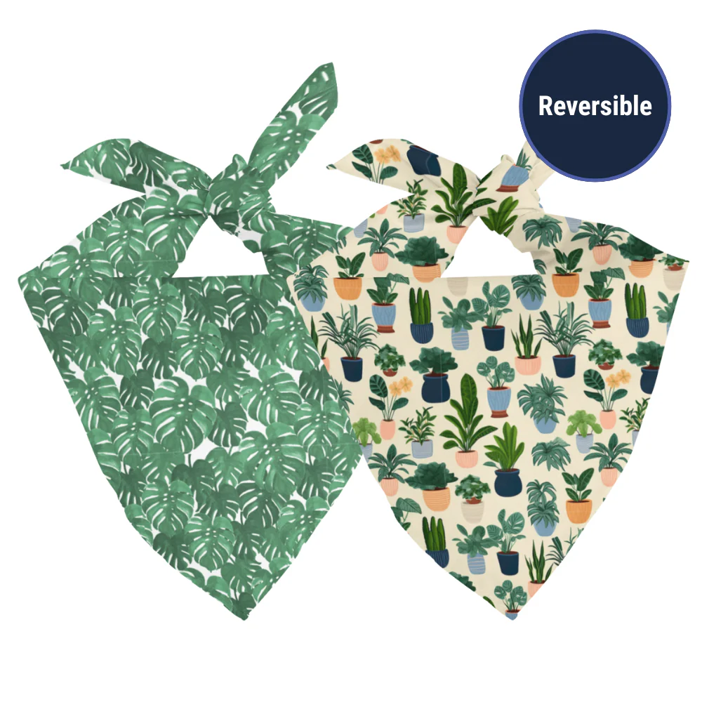 House Plant Dog Bandana - Image 2