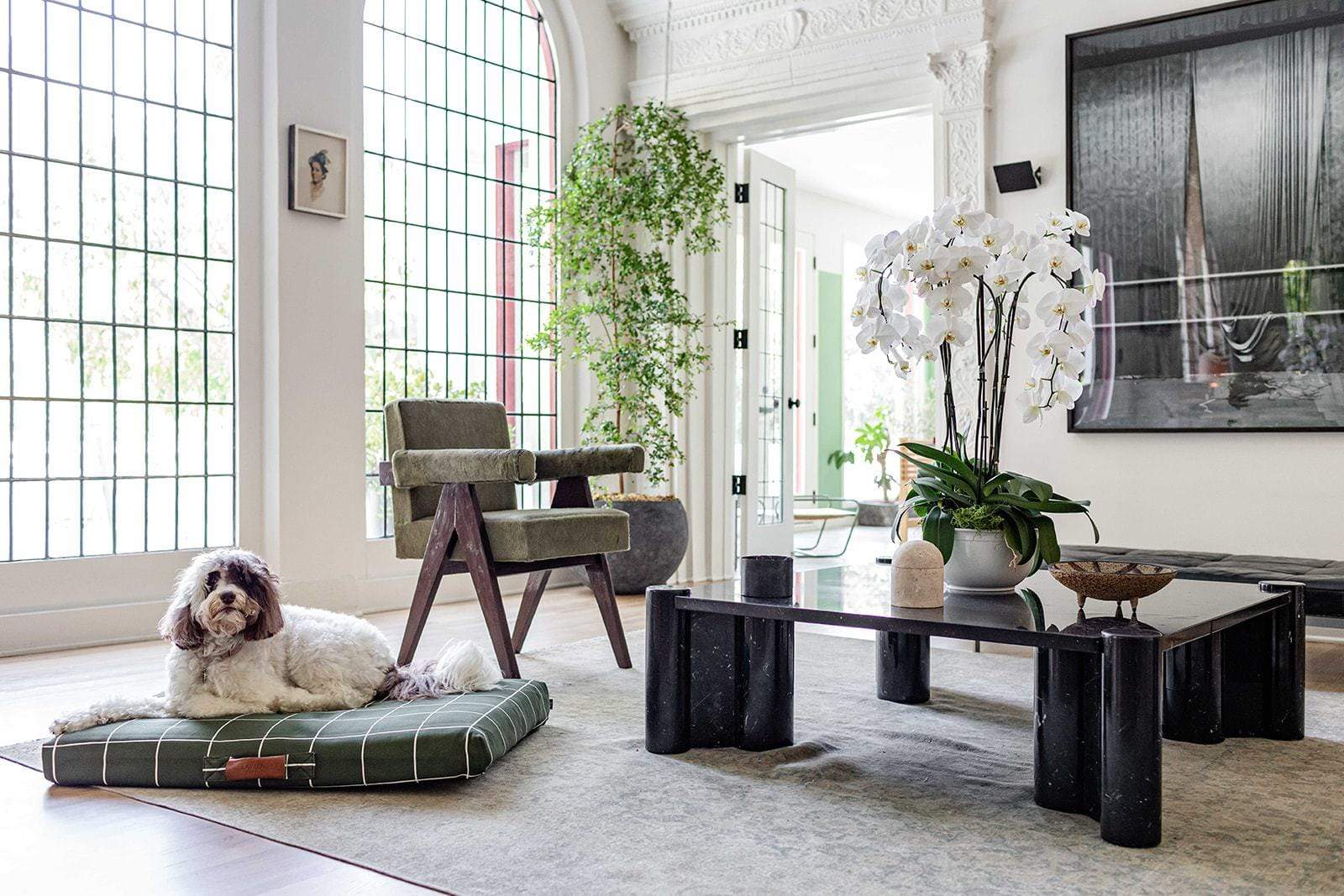 Hunter Green Grid | Dog Bed or Bed Cover - Image 5