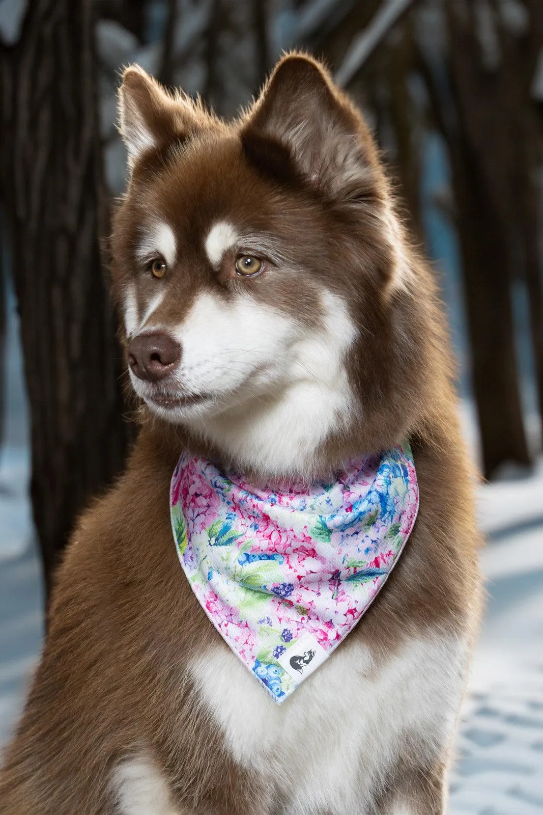 Hydrangea Haven Dog Bandana - Image 2