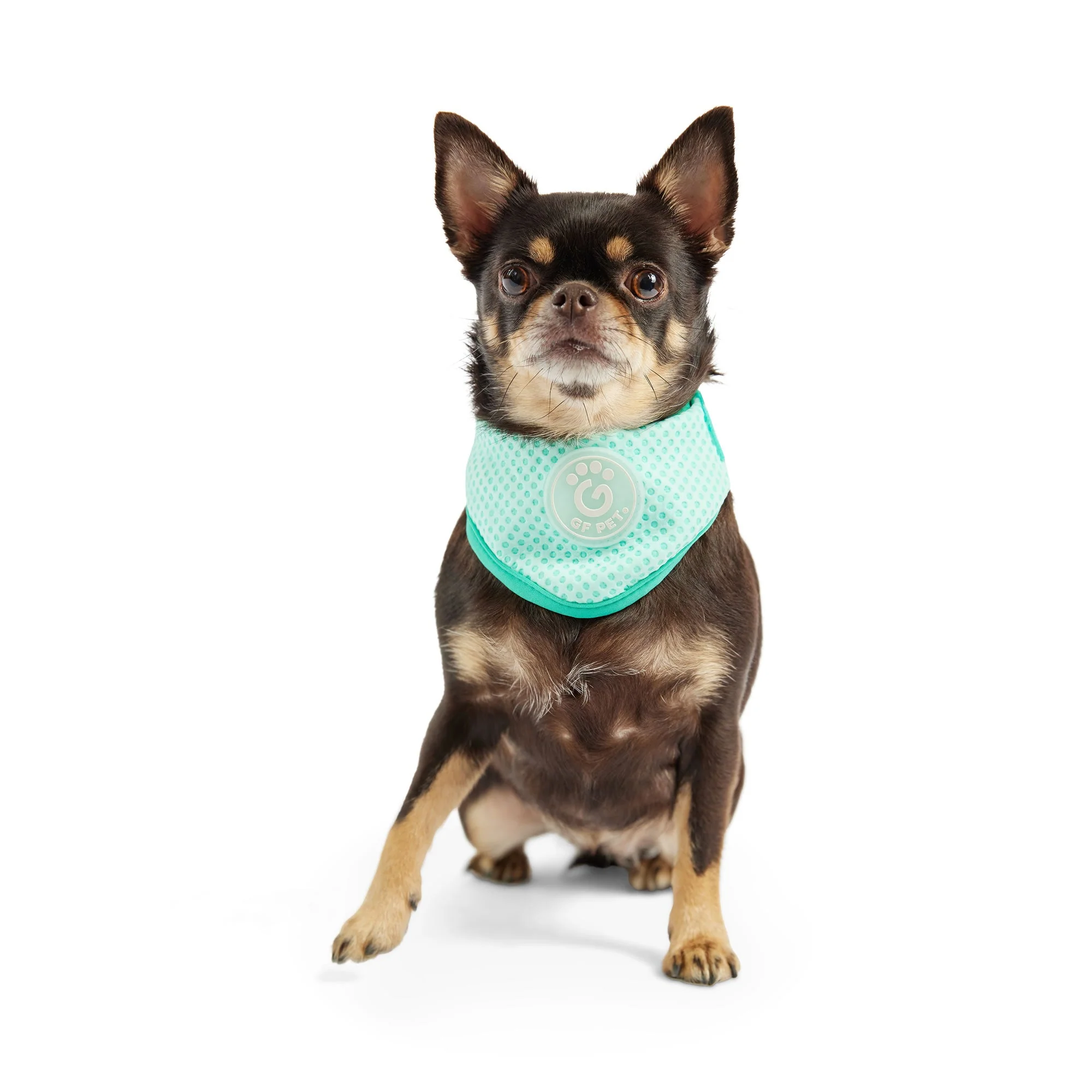 ICE BAND - Dog Cooling Bandana - Aqua - Image 4