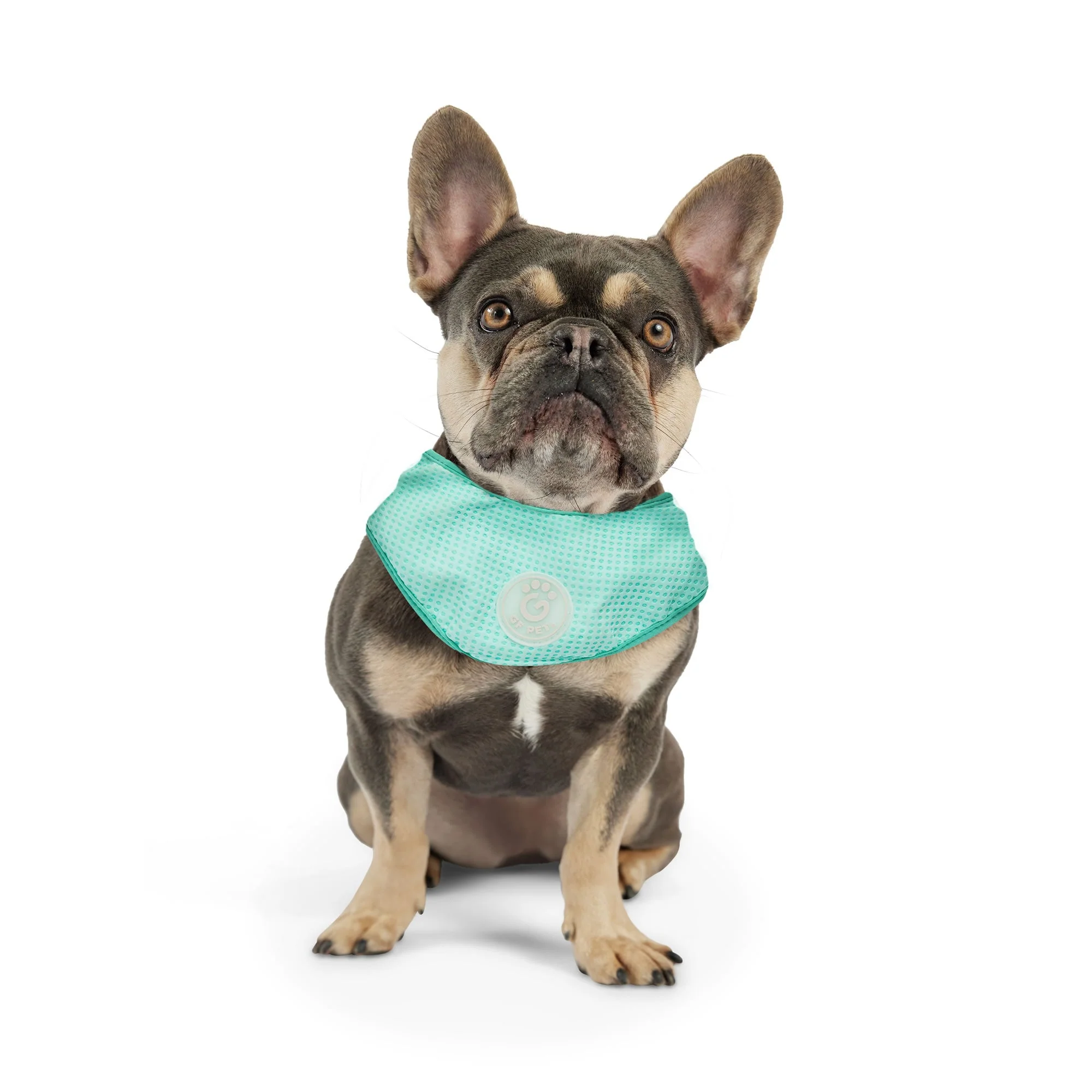 ICE BAND - Dog Cooling Bandana - Aqua - Image 5
