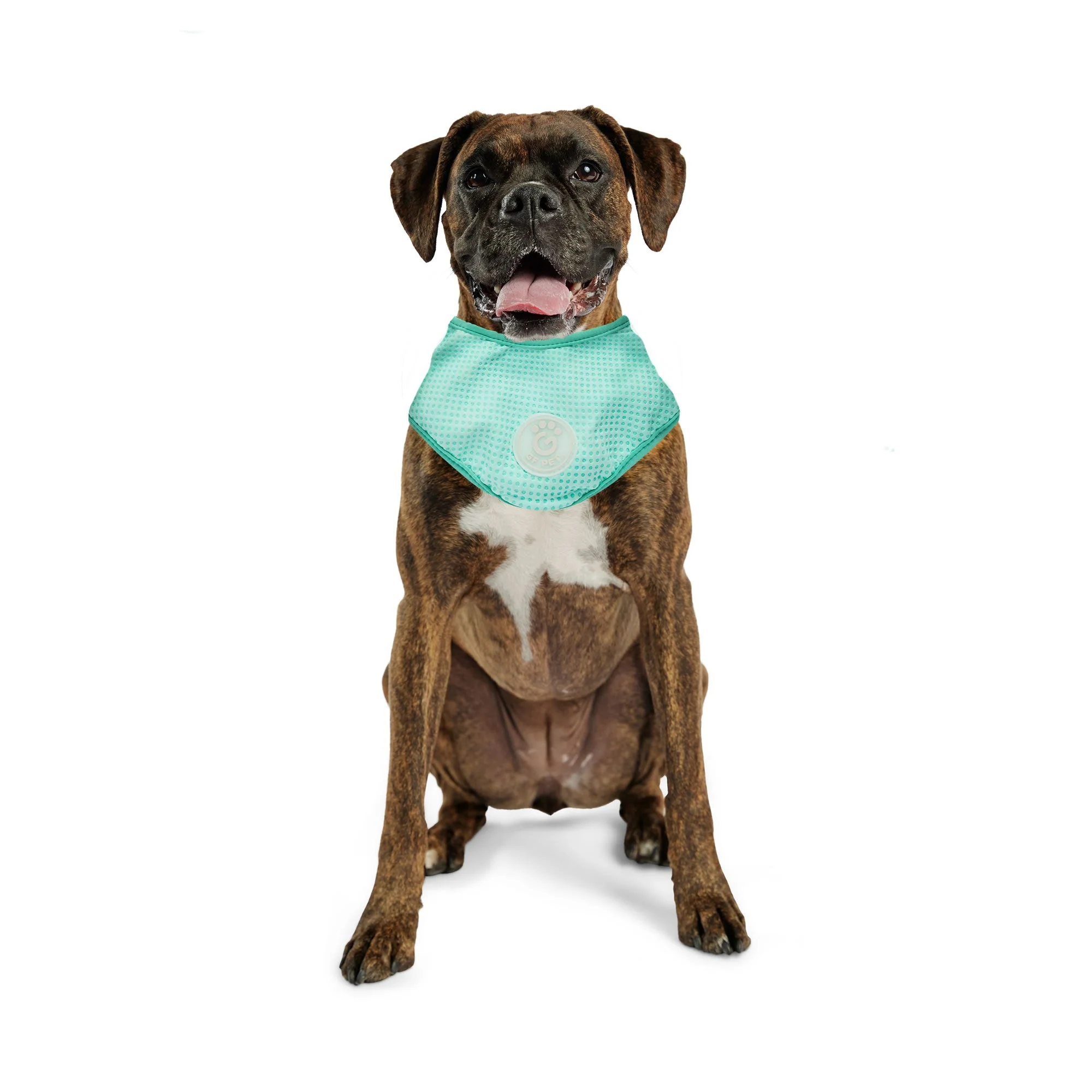 ICE BAND - Dog Cooling Bandana - Aqua - Image 6