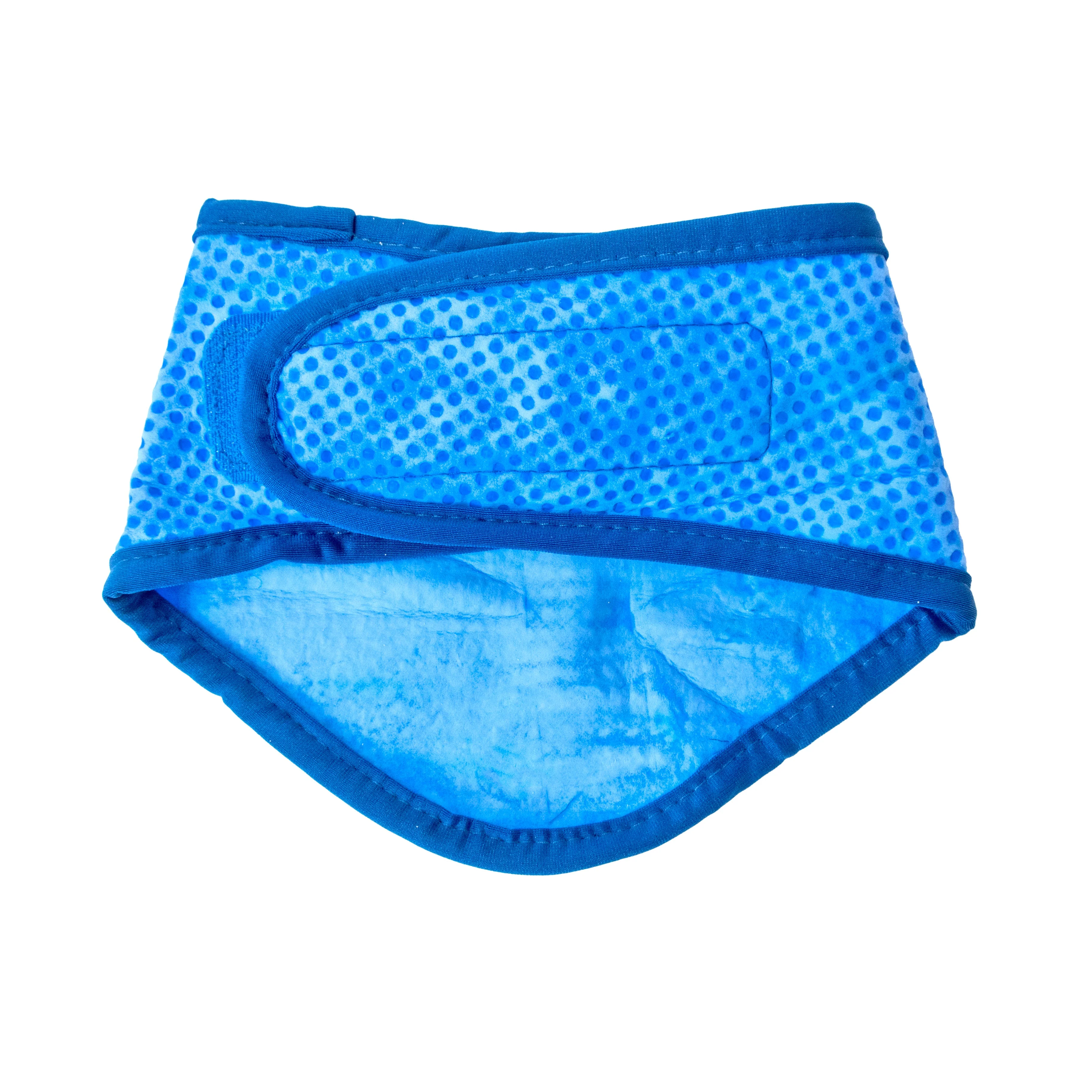 ICE BAND - Dog Cooling Bandana - Blue - Image 3