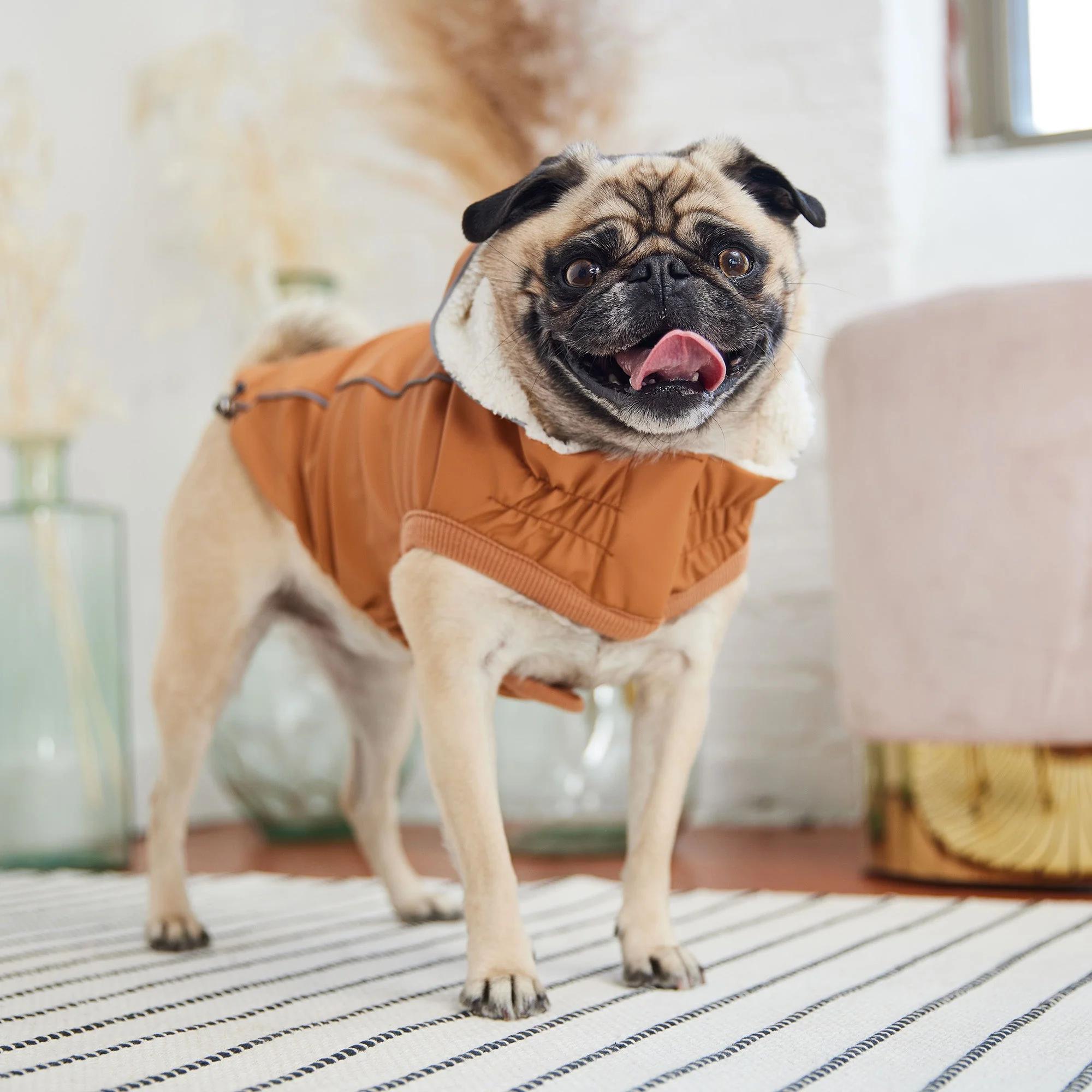 Insulated Raincoat - Hazel - Image 4