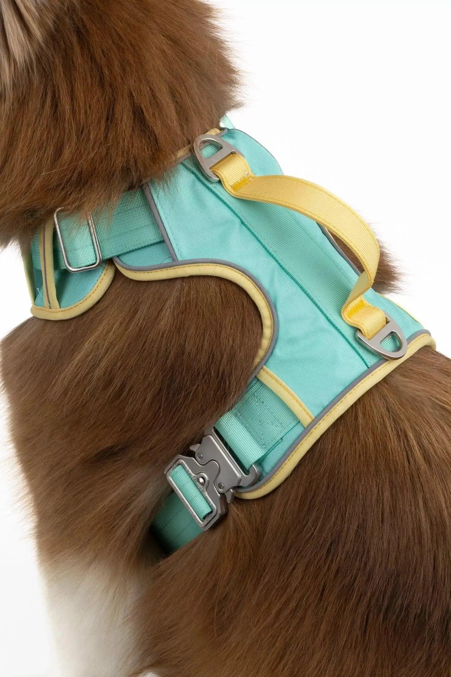 Island Vibes Ultimate Dog Harness - Image 2