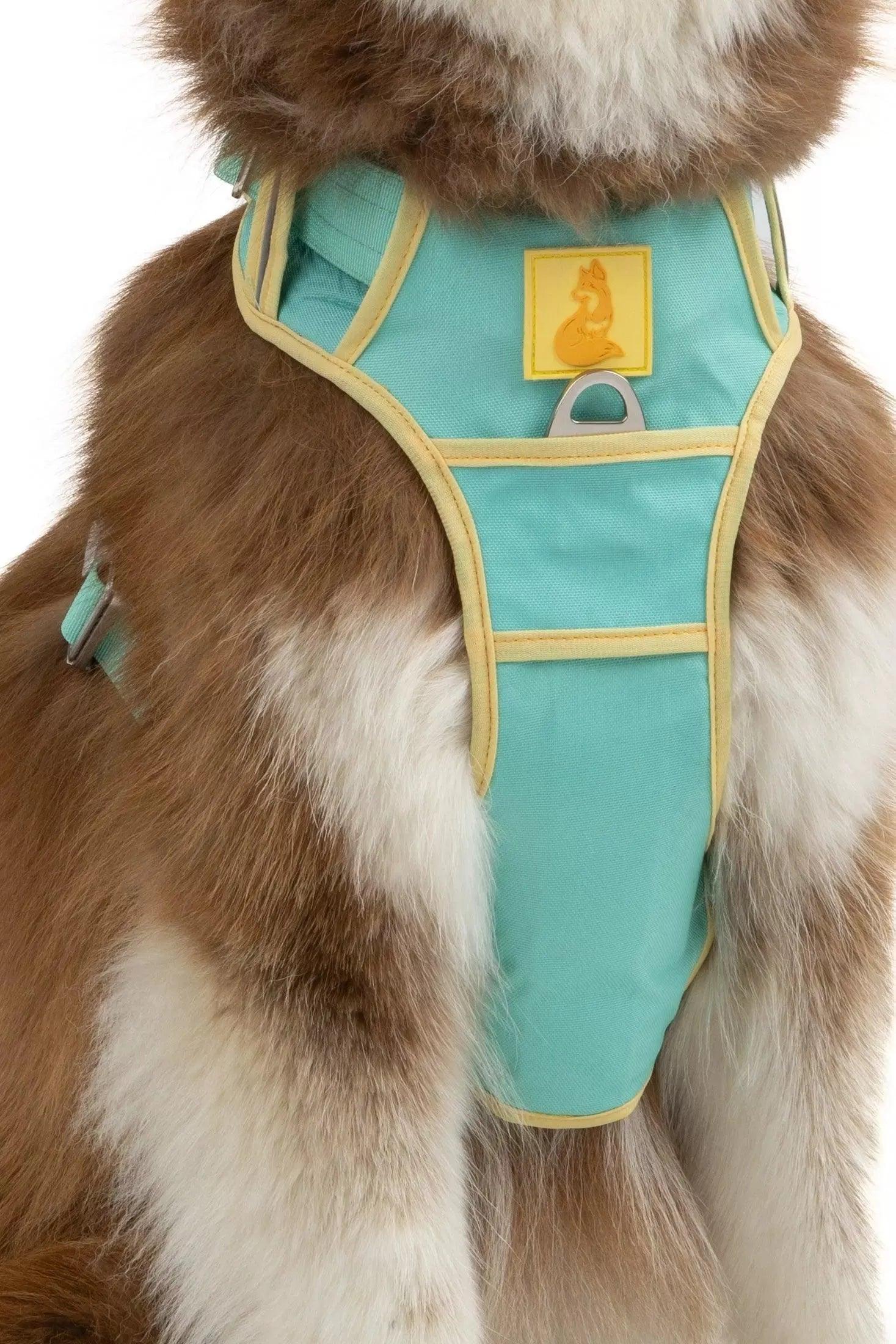 Island Vibes Ultimate Dog Harness - Image 5