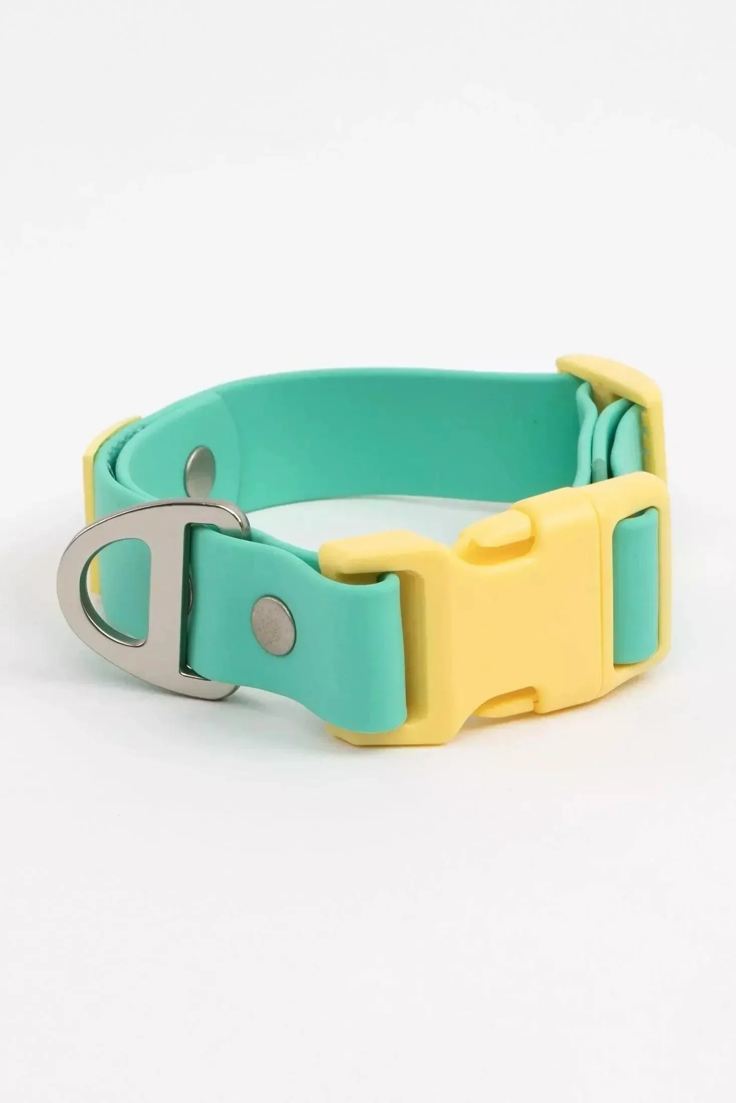 Island Vibes Waterproof Dog Collar - Image 4