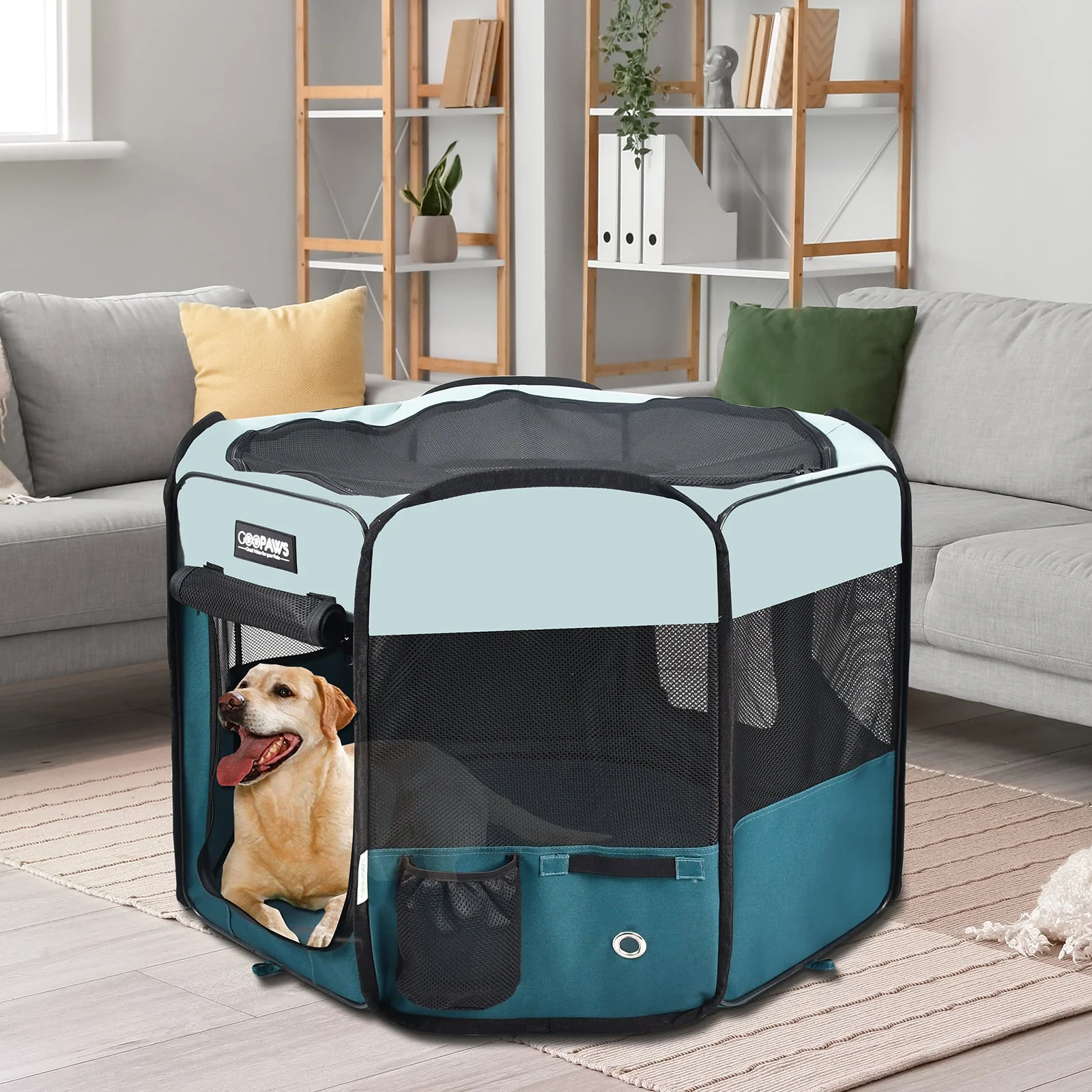 Jespet 2-Door Portable Soft-Sided Dog, Cat & Small Pet Exercise Playpen, Teal Blue, 61'' - Image 6