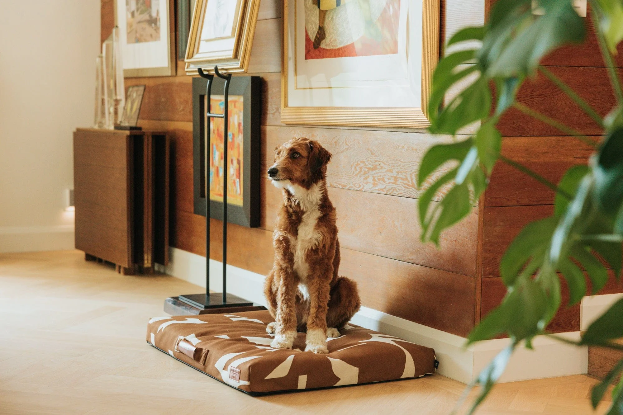 John Legend | Brown Fragment Dog Bed or Bed Cover - Image 10