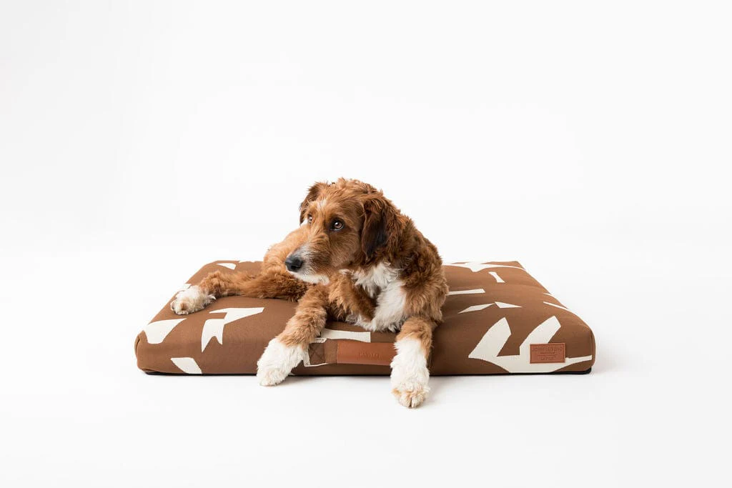 John Legend | Brown Fragment Dog Bed or Bed Cover - Image 2