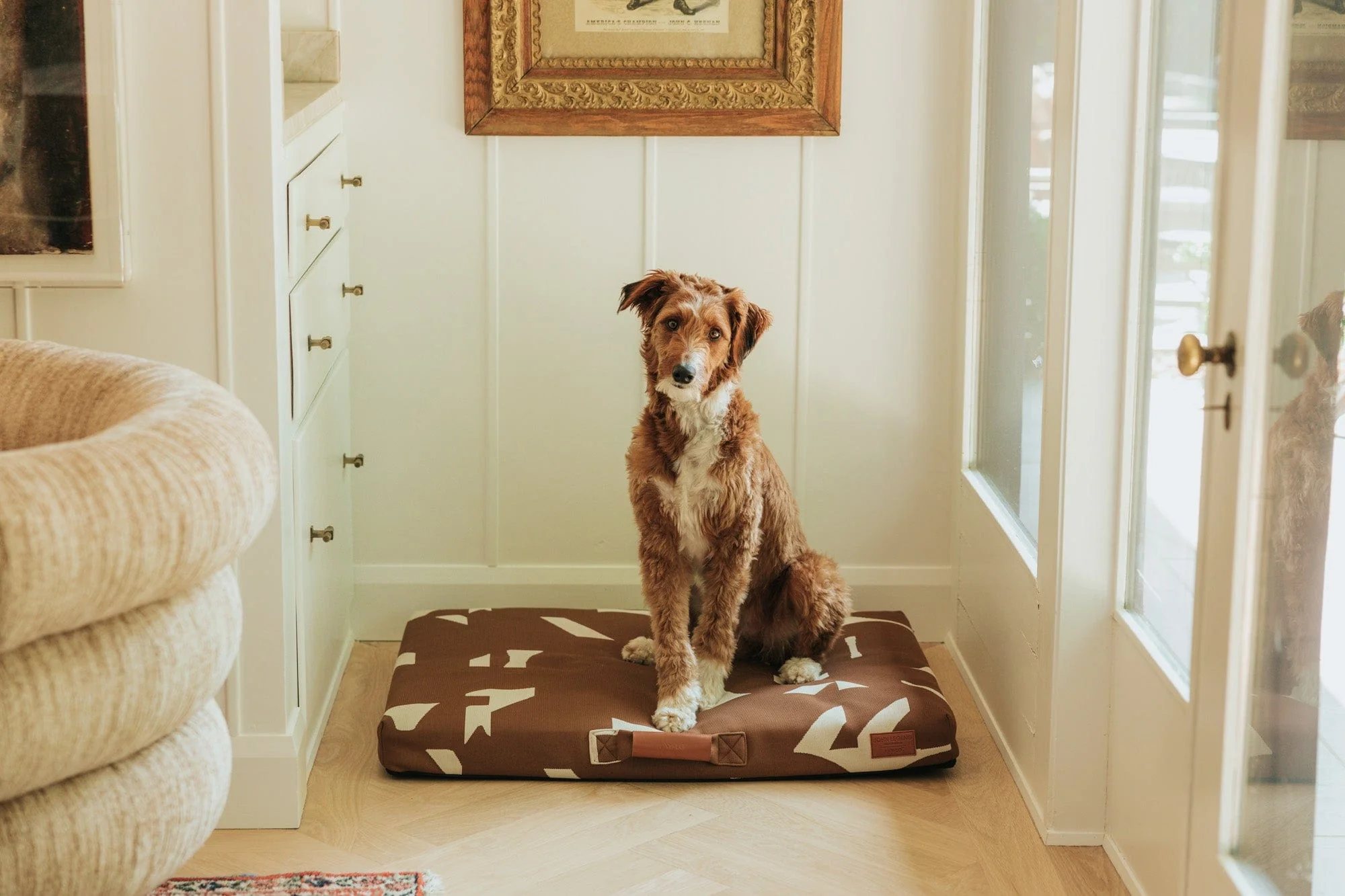 John Legend | Brown Fragment Dog Bed or Bed Cover - Image 4