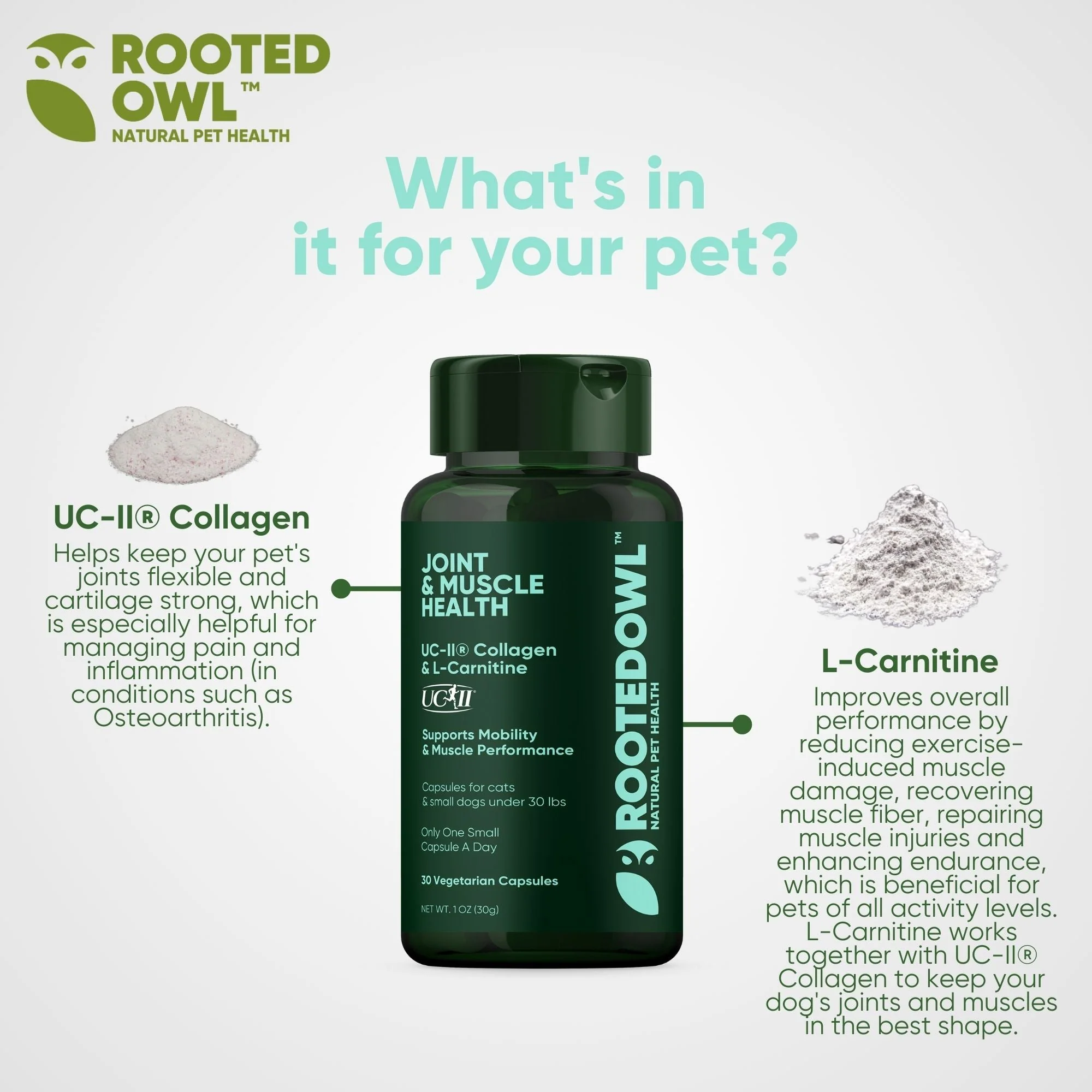 Joint & Muscle Health (Cats & Small Dogs) - Image 14