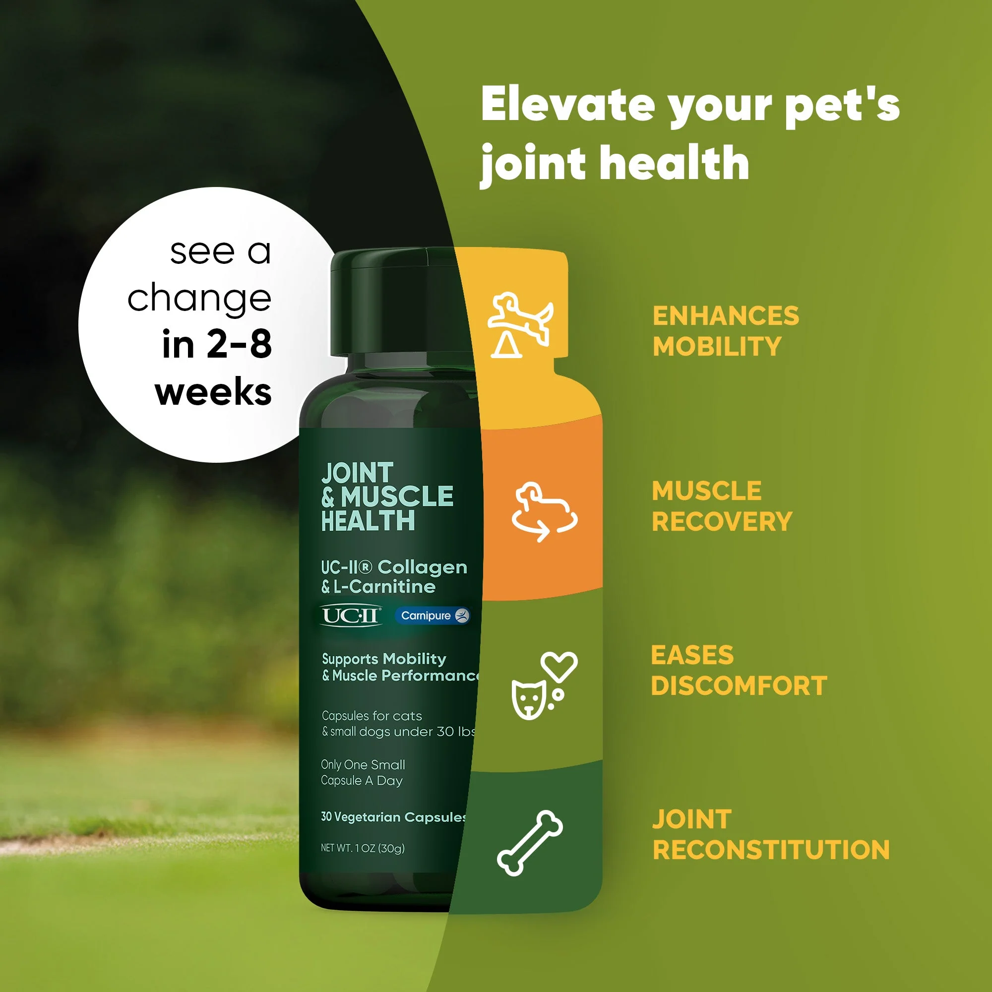 Joint & Muscle Health (Cats & Small Dogs) - Image 18