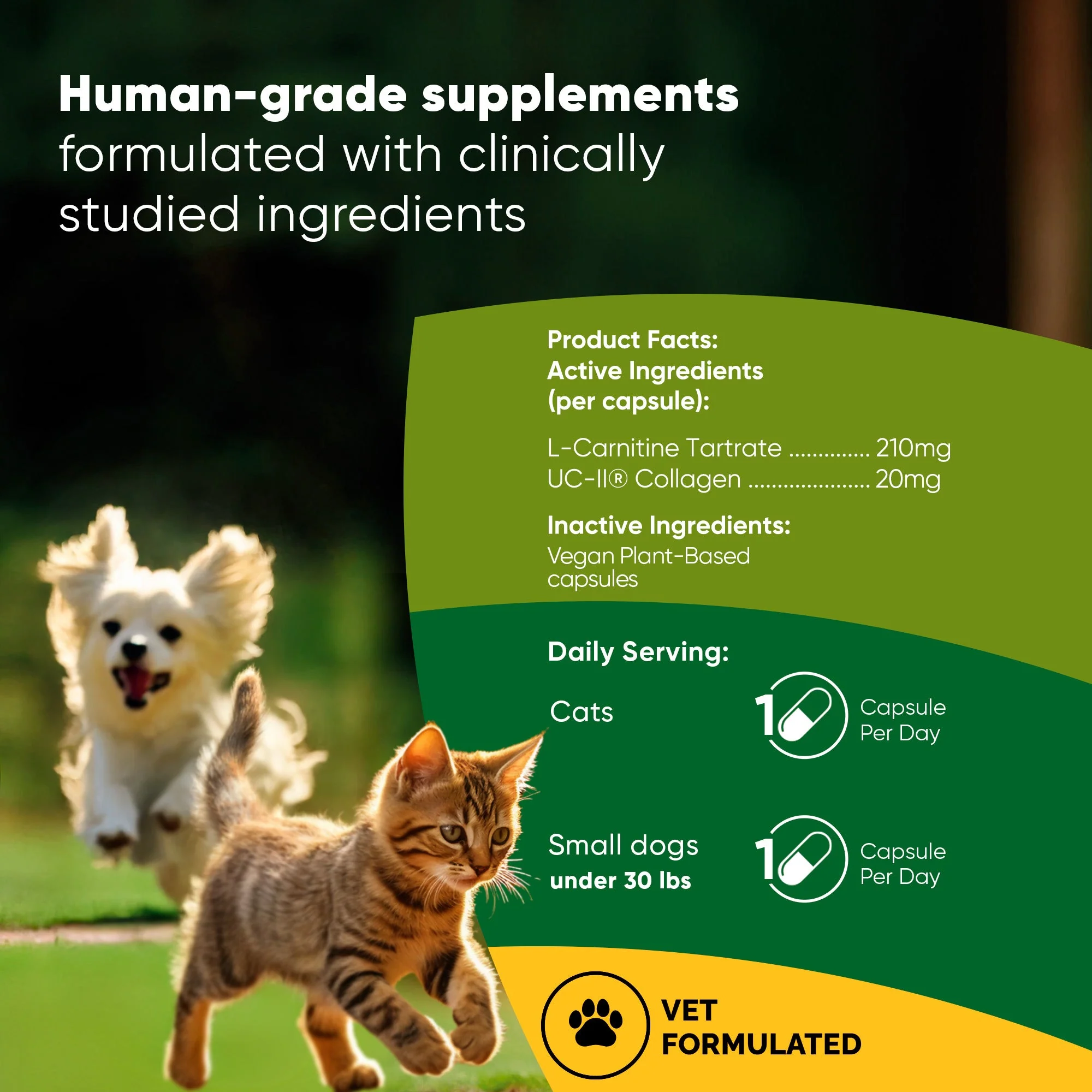 Joint & Muscle Health (Cats & Small Dogs) - Image 29