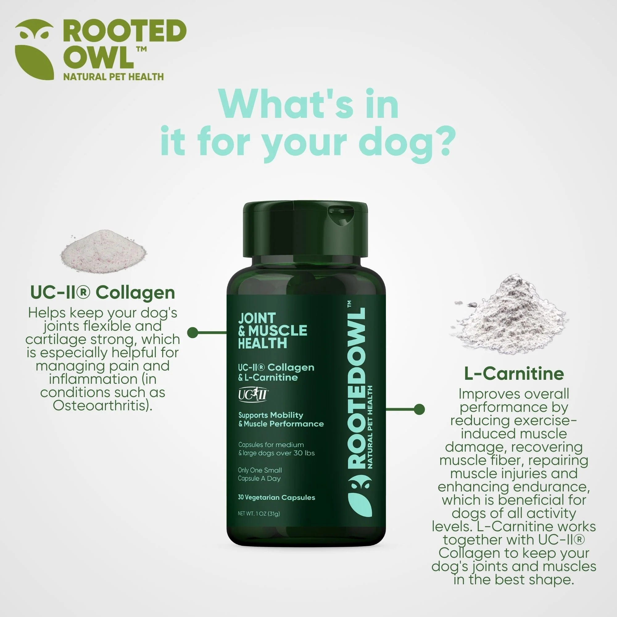 Joint & Muscle Health (Medium & Large Dogs) - Image 12