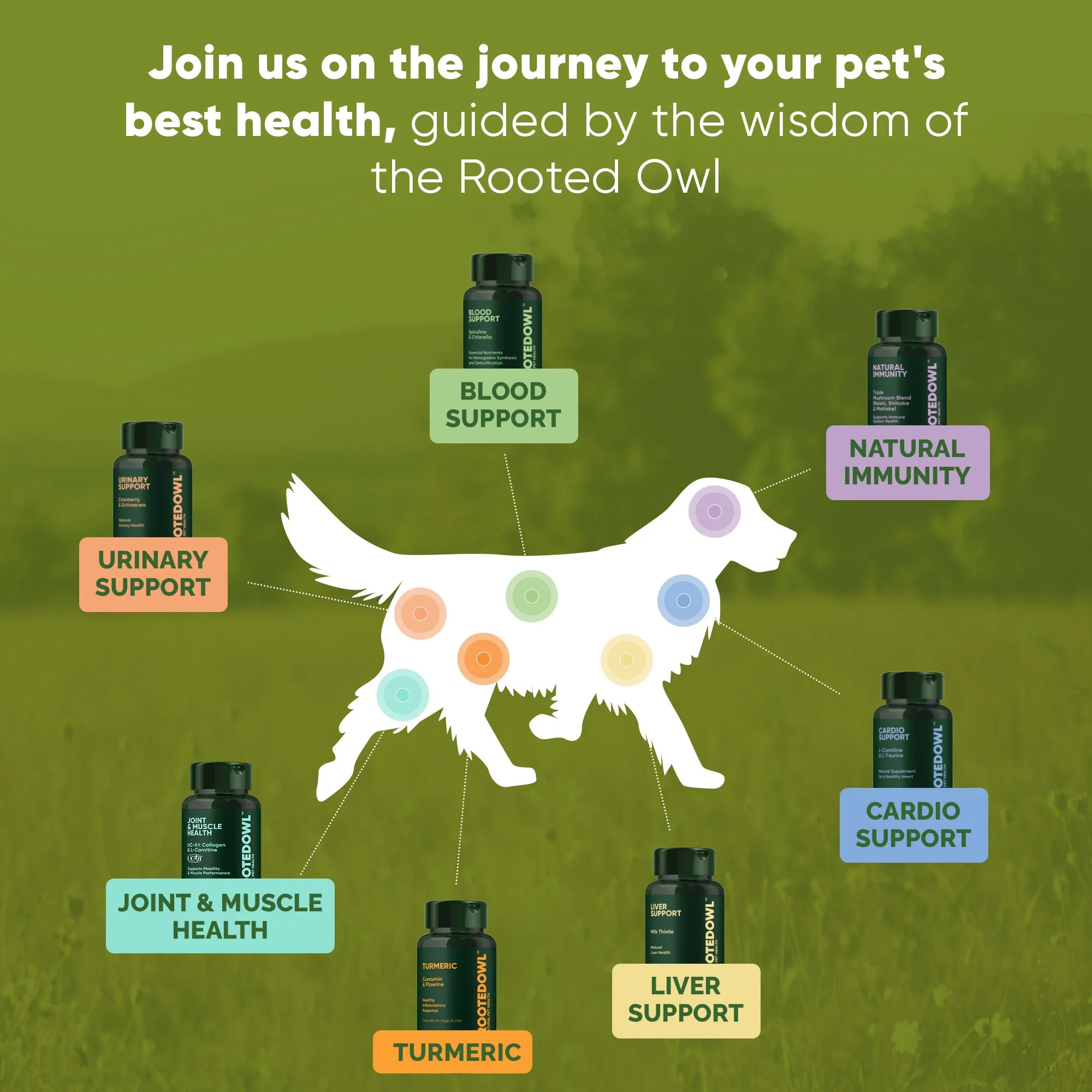 Joint & Muscle Health (Medium & Large Dogs) - Image 13