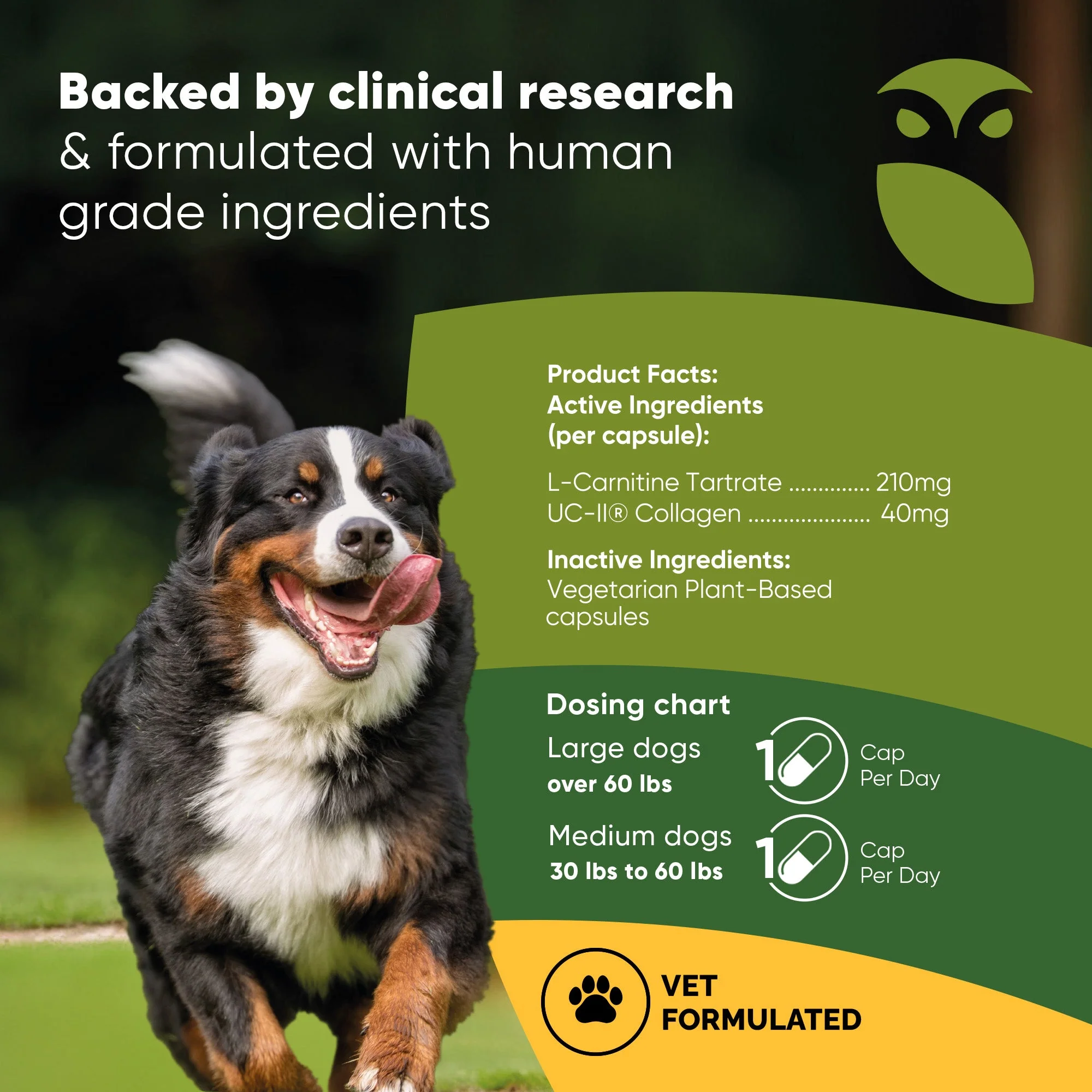 Joint & Muscle Health (Medium & Large Dogs) - Image 16