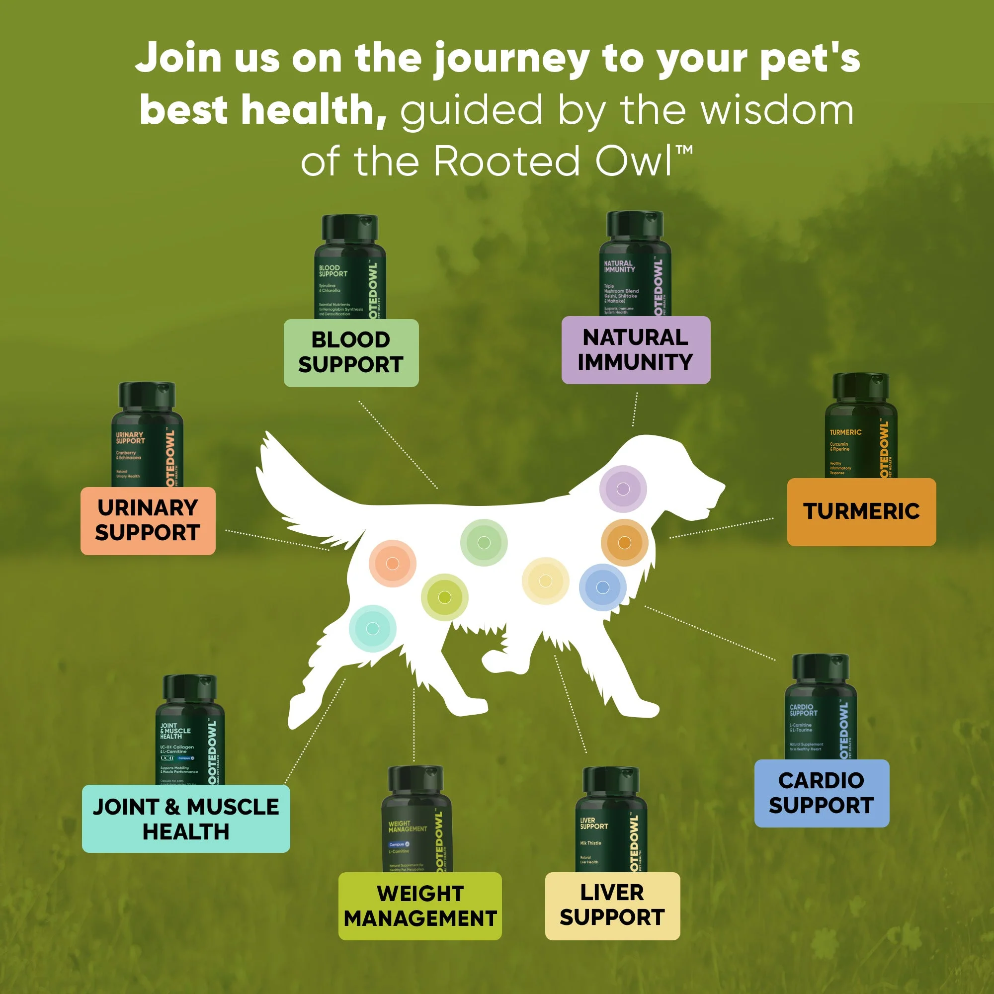 Joint & Muscle Health (Medium & Large Dogs) - Image 20