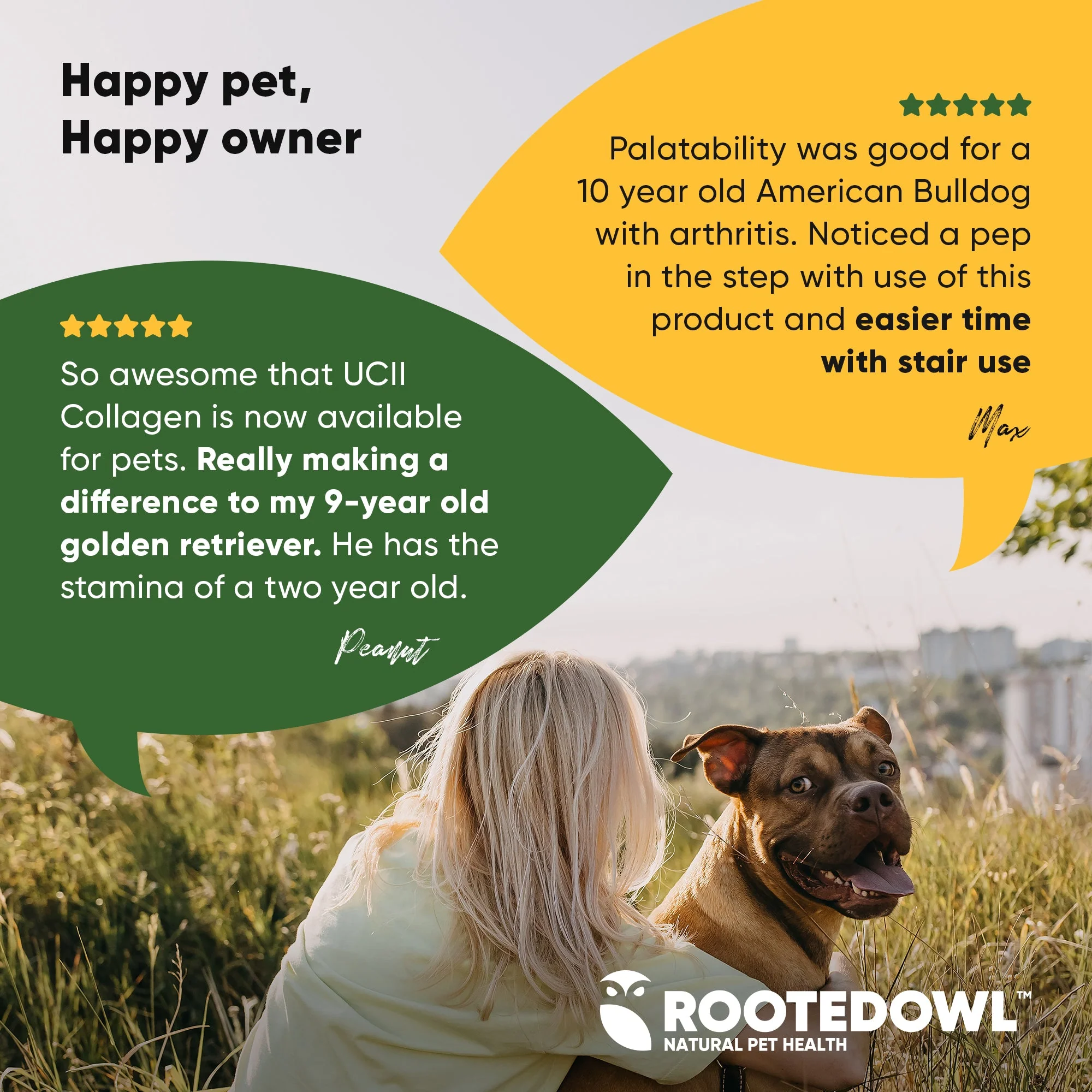 Joint & Muscle Health (Medium & Large Dogs) - Image 7