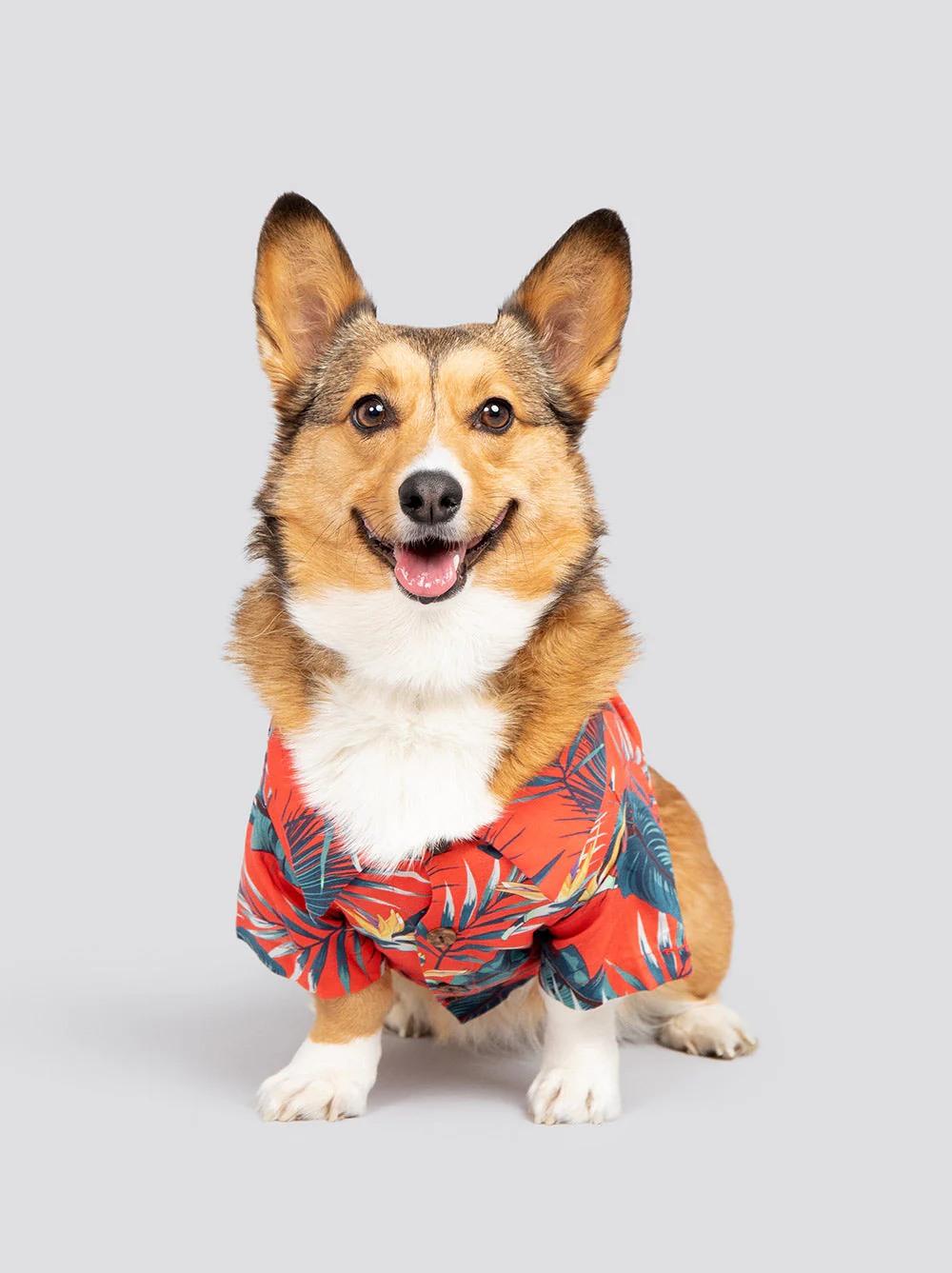 Jungle Bird BBQ Shirt - Image 2
