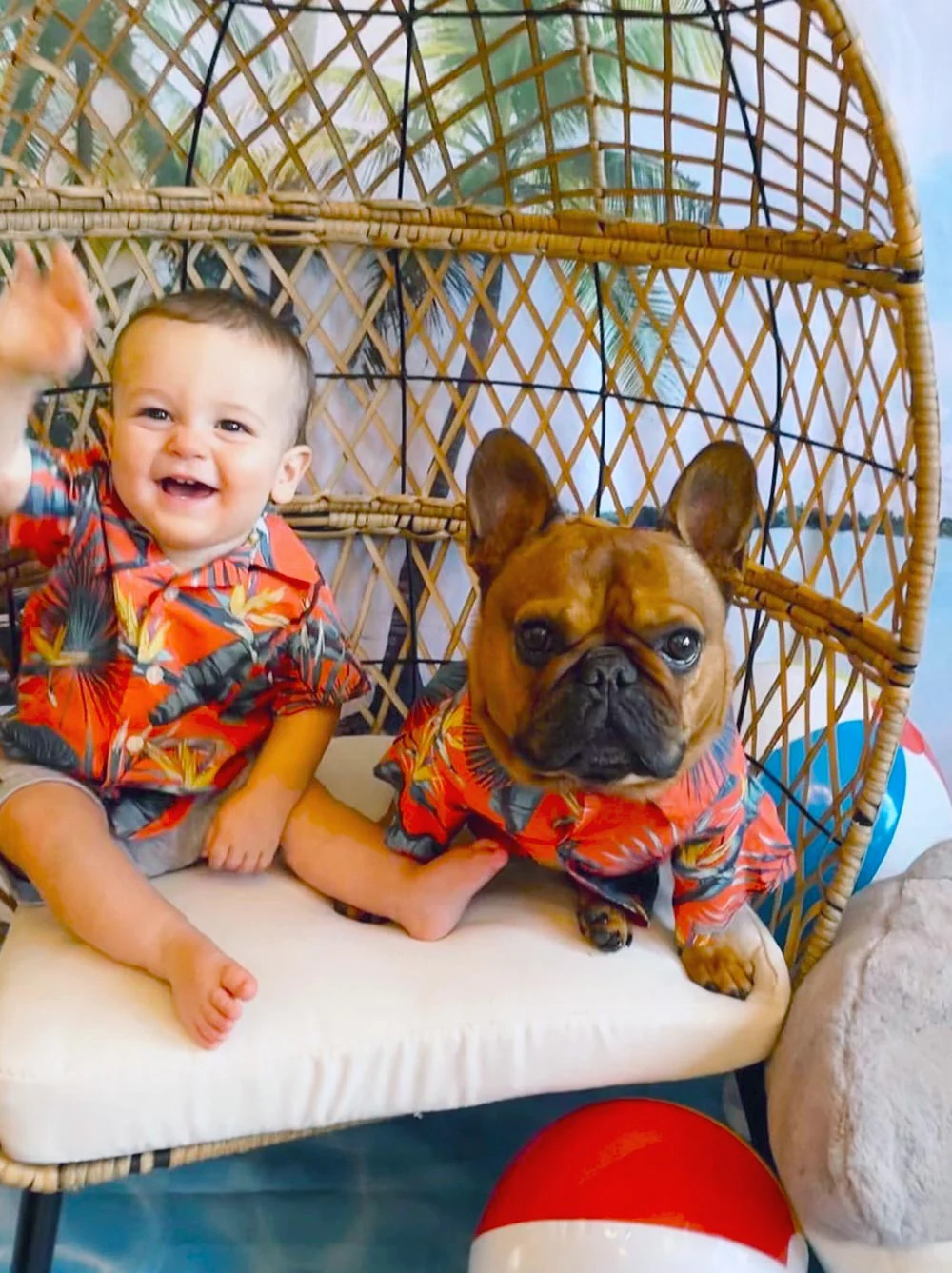 Jungle Bird BBQ Shirt - Image 8