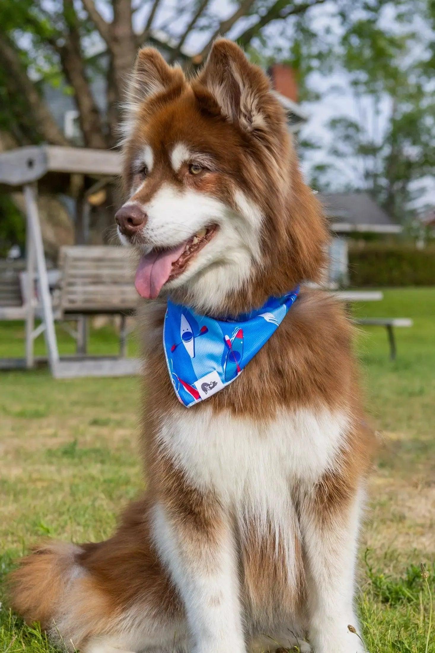 K9 Kayak Dog Bandana - Image 2