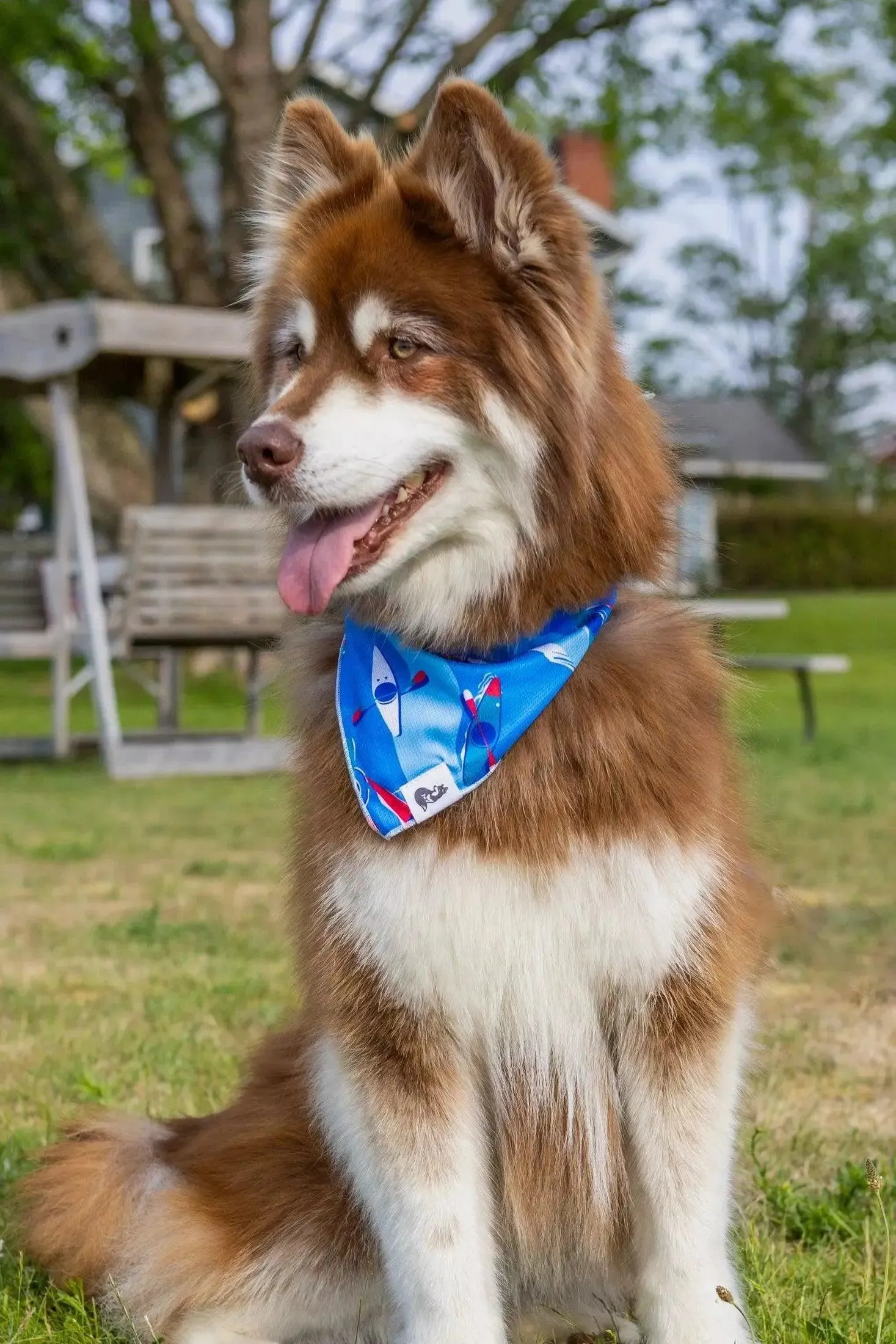 K9 Kayak Dog Bandana & Matching Keychain - Image 3