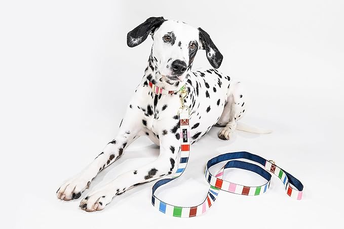 Kate Spade Adventure Stripe Walk Set M/L - Image 6