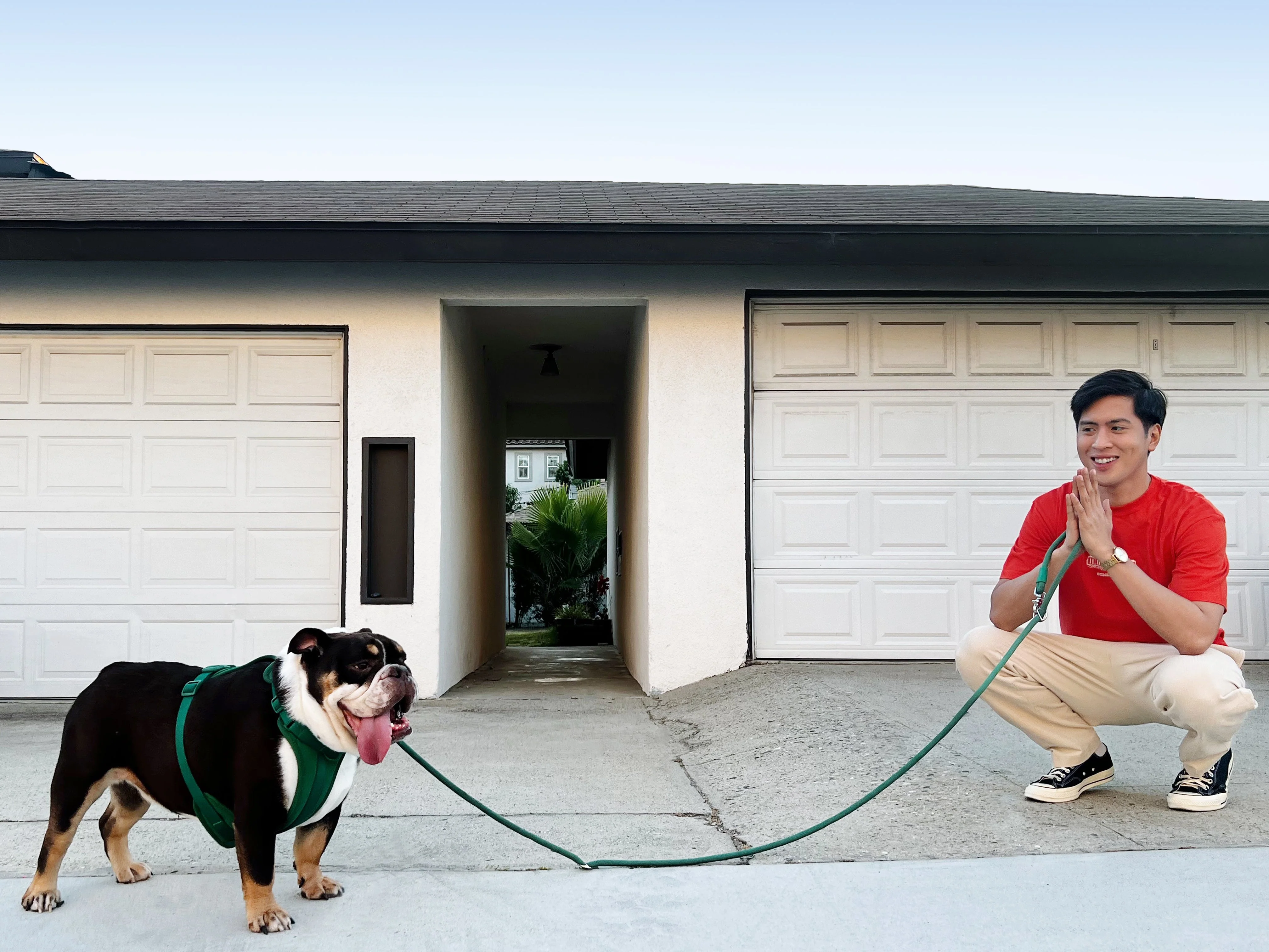 Kismet Dog Leash - Image 14