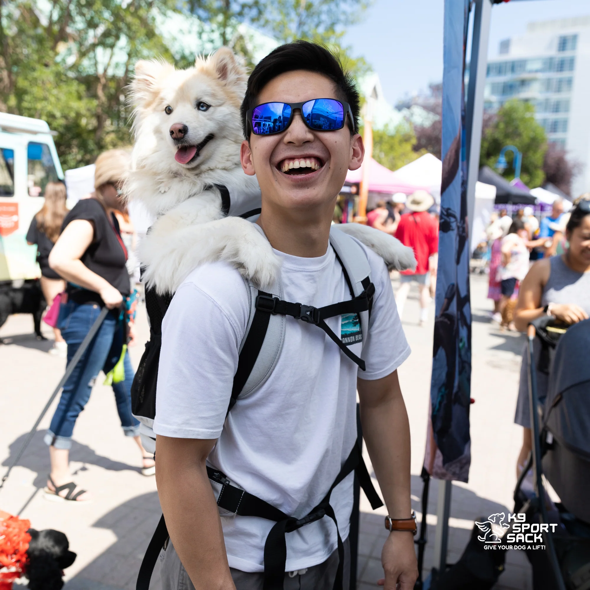 Knavigate | Advanced Dog Carrier with Internal Frame & Hip Belt - Image 26
