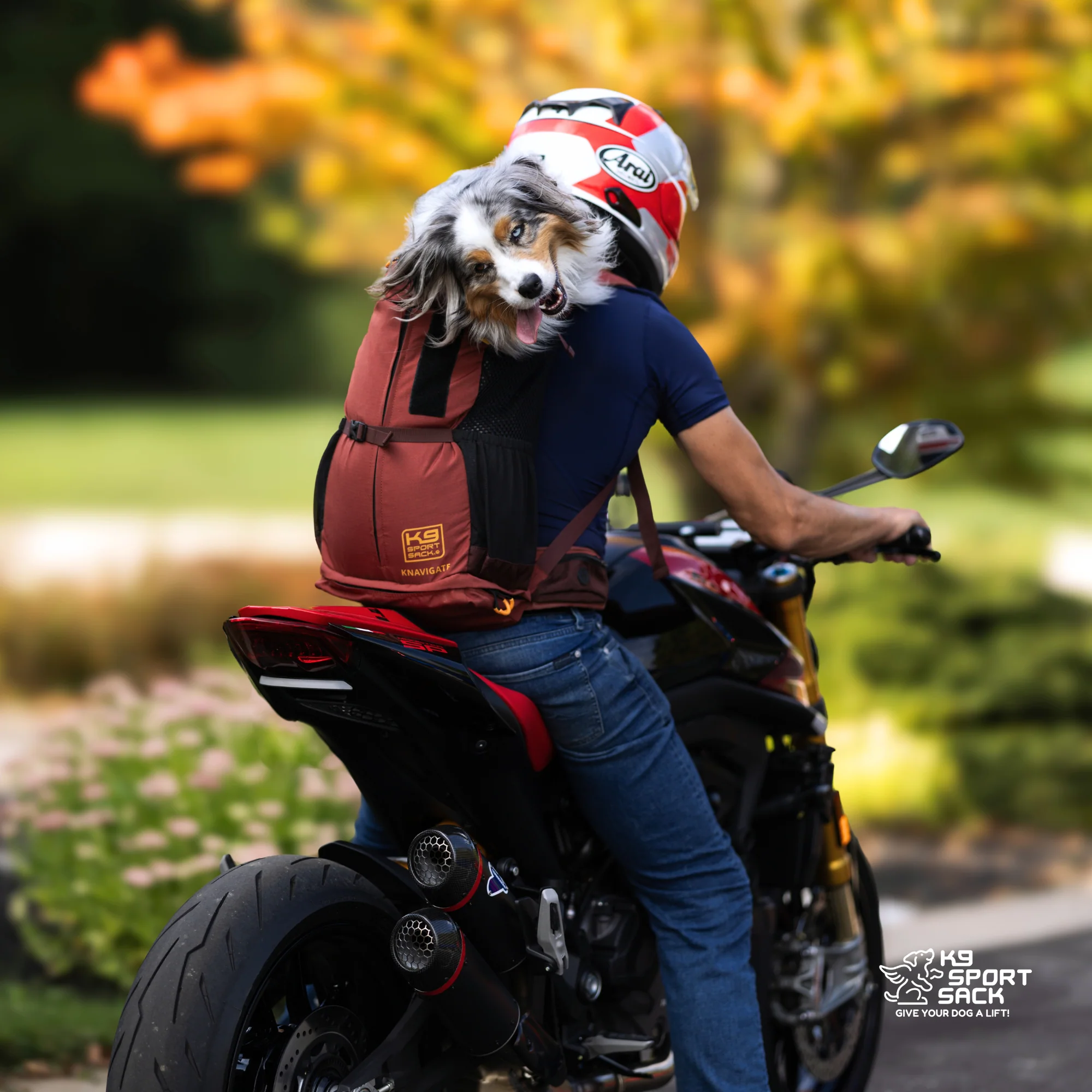 Knavigate | Advanced Dog Carrier with Internal Frame & Hip Belt - Image 7
