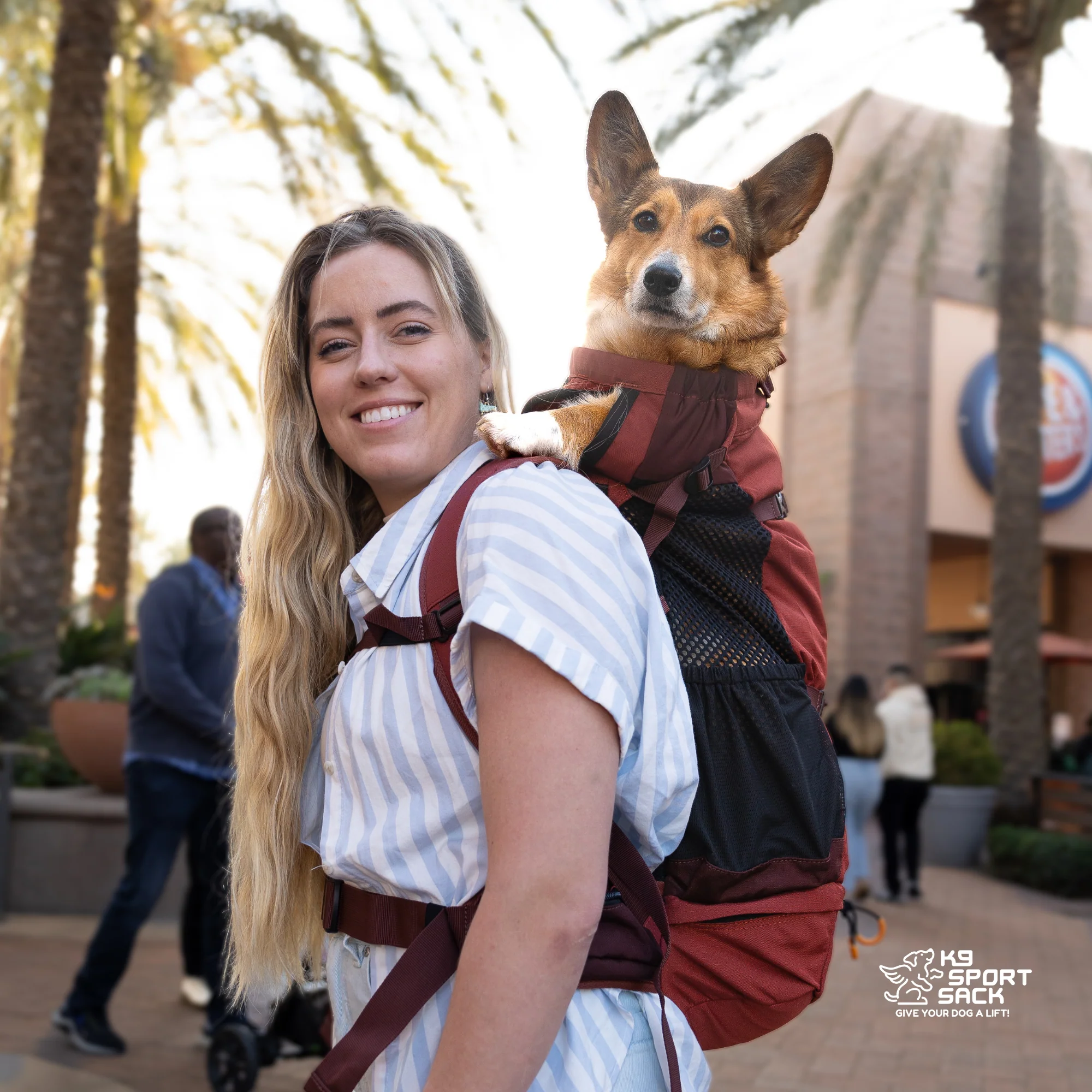 Knavigate | Advanced Dog Carrier with Internal Frame & Hip Belt - Image 9