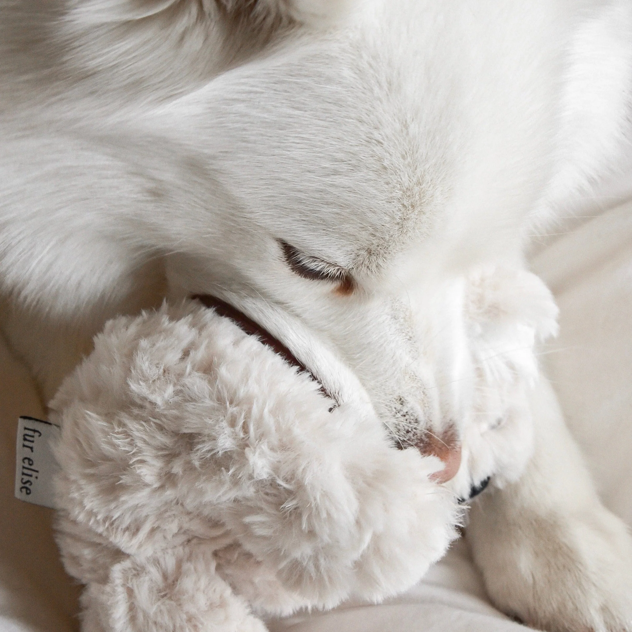 Koko Mini Plushie - Image 5