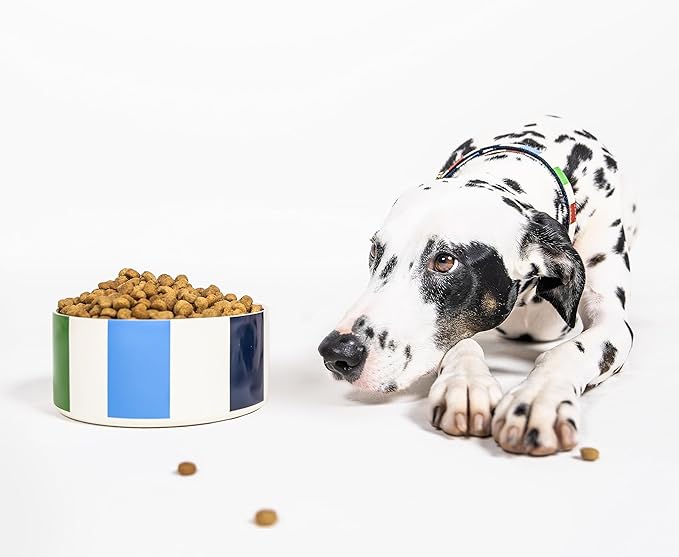 Kate Spade Adventure Stripe Food & Water Bowl for Dogs, Stainless Steel Large Bowl with Non-Slip Base - Image 4