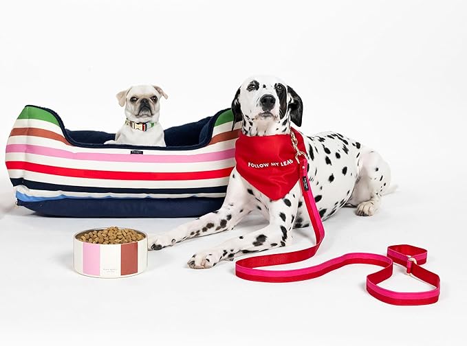 Kate Spade Adventure Stripe Food & Water Bowl for Dogs, Stainless Steel Large Bowl with Non-Slip Base - Image 6