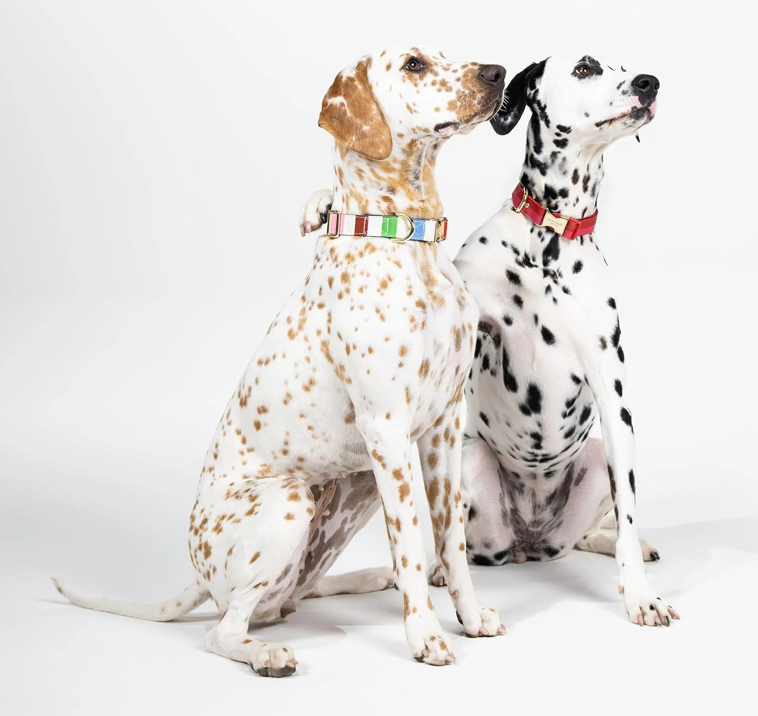 Kate Spade Adventure Stripe Collar - Image 4