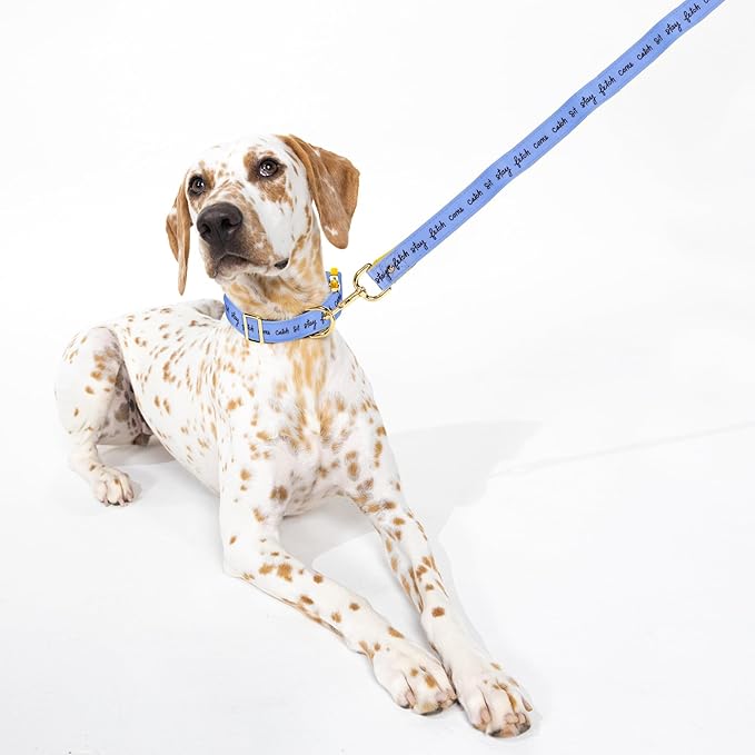 Kate Spade Raining Cats and Dogs Small Collar - Image 6
