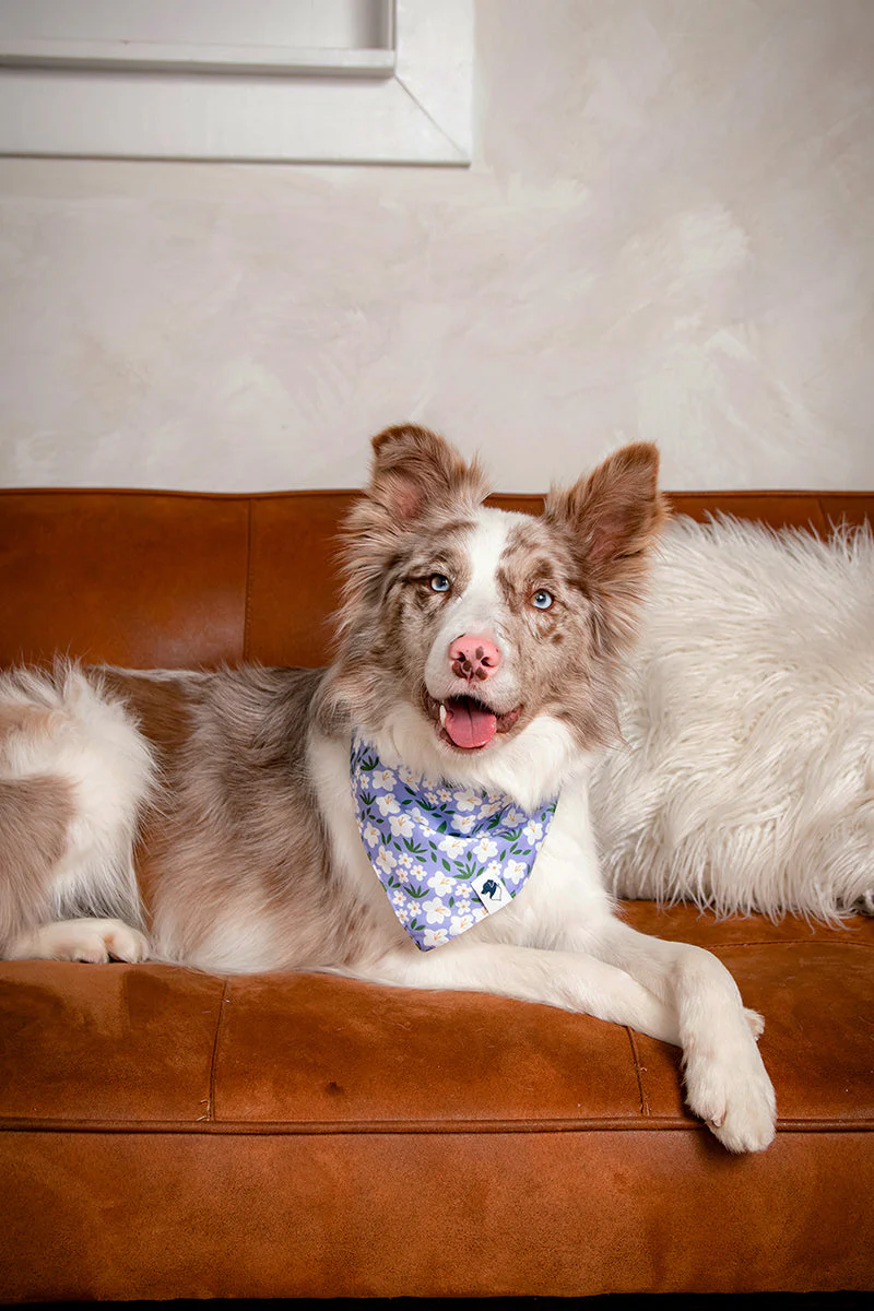 Lavender Dog Bandana - Image 4